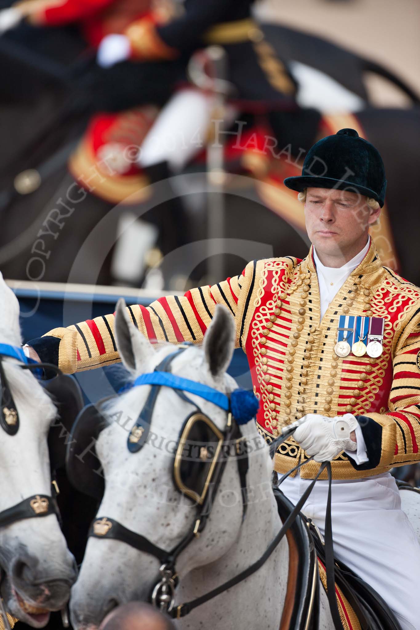 Trooping the Colour 2009: Close-up of the head coachman, Jack Hargreaves, riding one of the Windsor Grey horses, ready to take HM The Queen onto the Inspection of the Line..
Horse Guards Parade, Westminster,
London SW1,

United Kingdom,
on 13 June 2009 at 10:59, image #128