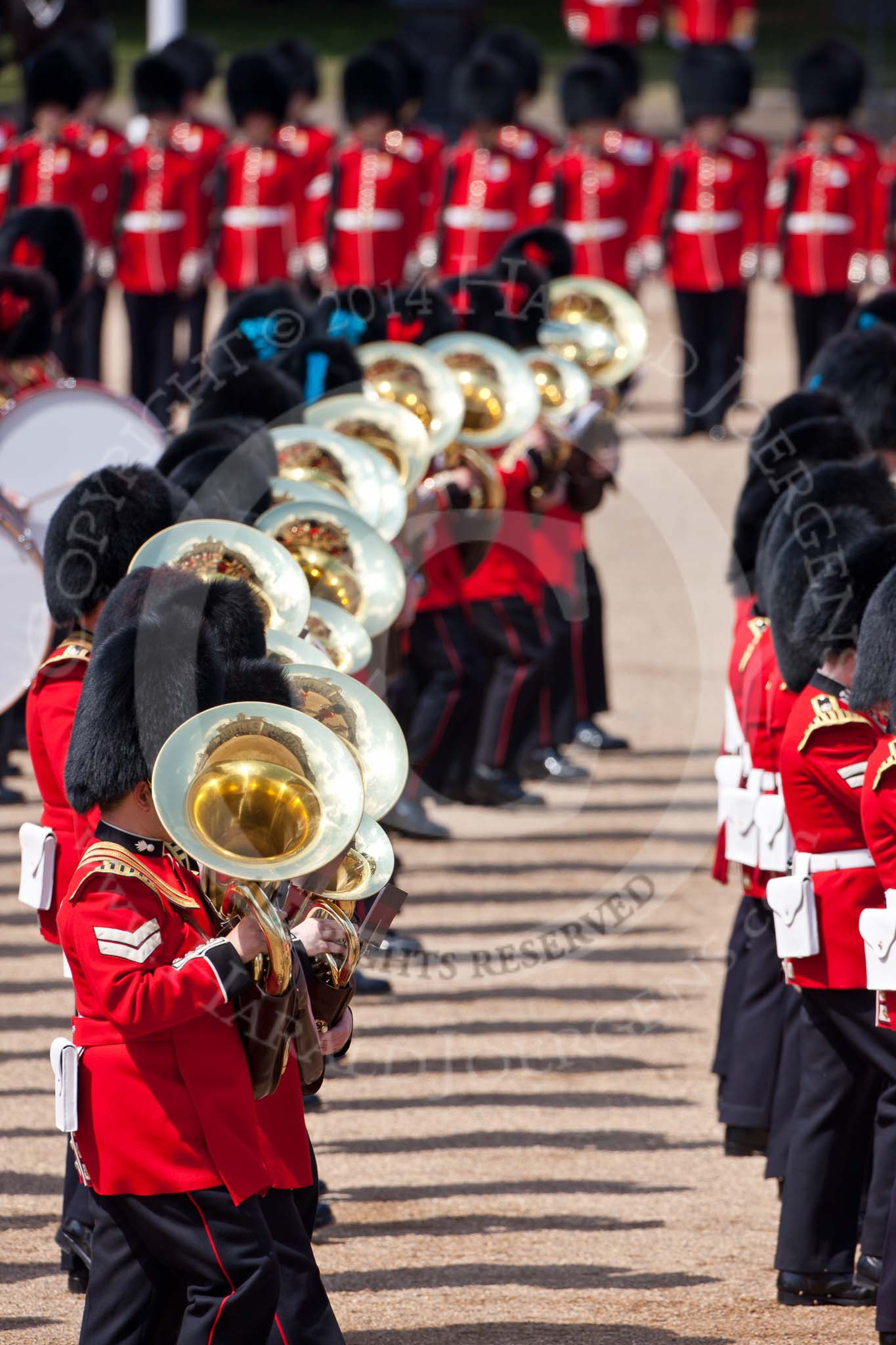 Trooping the Colour 2009: The Massed Bands playing, here a row of euphonists..
Horse Guards Parade, Westminster,
London SW1,

United Kingdom,
on 13 June 2009 at 11:13, image #172