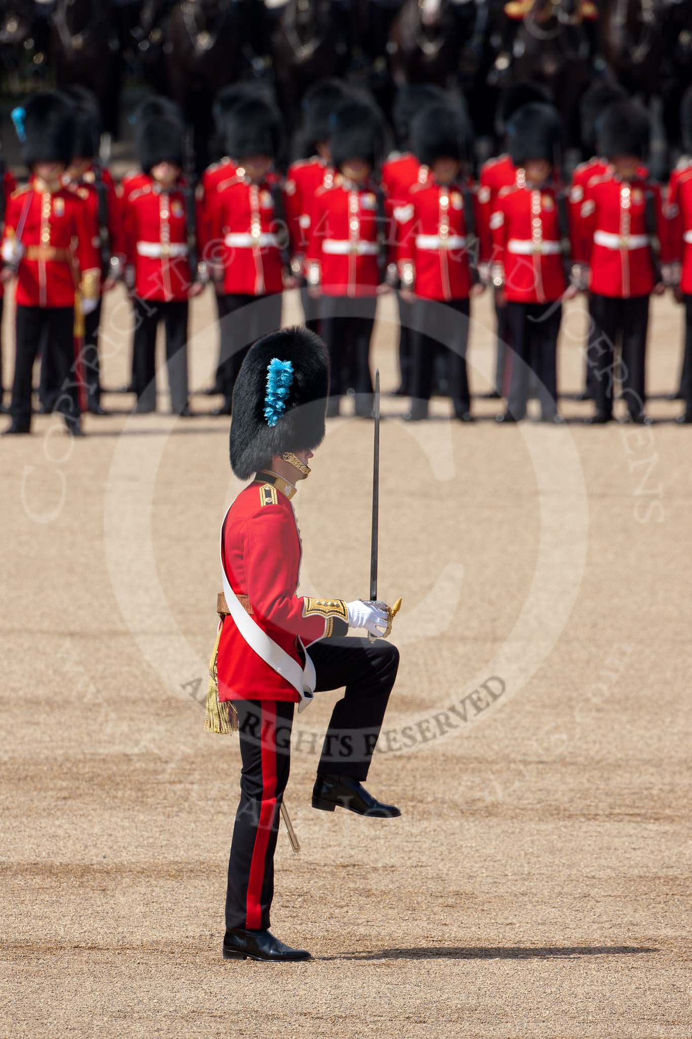 Trooping the Colour 2009: The Ensign, 2nd Lieutenant Steve O'Stevenson, has marched forward with the Regimental Sergeant Major to take posession of the Colour..
Horse Guards Parade, Westminster,
London SW1,

United Kingdom,
on 13 June 2009 at 11:17, image #181