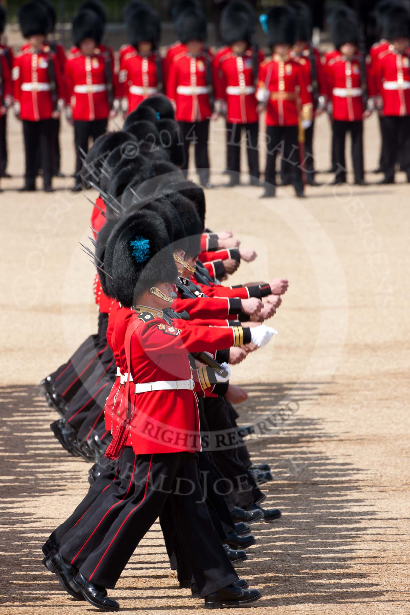 Trooping the Colour 2009: No. 1 Guard, 1st Battalion Irish Guards, the Escort for the Colour, is marching foreward to take posession of the Colour..
Horse Guards Parade, Westminster,
London SW1,

United Kingdom,
on 13 June 2009 at 11:18, image #182