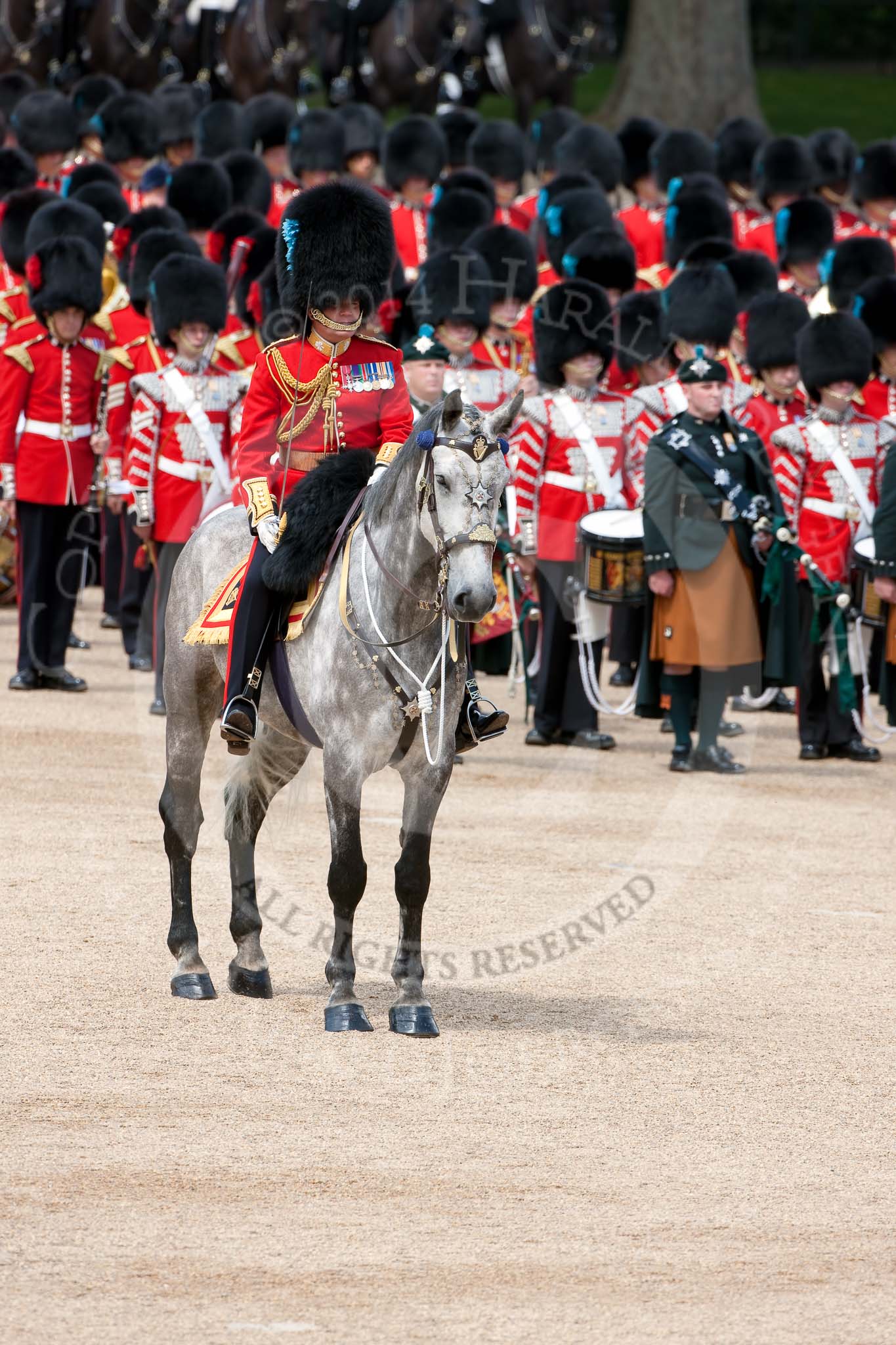 Trooping the Colour 2009: The Field Officer in Brigade Waiting, Lieutenant Colonel B C Farrell, on 'Wellesley', during the Collection of the Colour..
Horse Guards Parade, Westminster,
London SW1,

United Kingdom,
on 13 June 2009 at 11:19, image #183