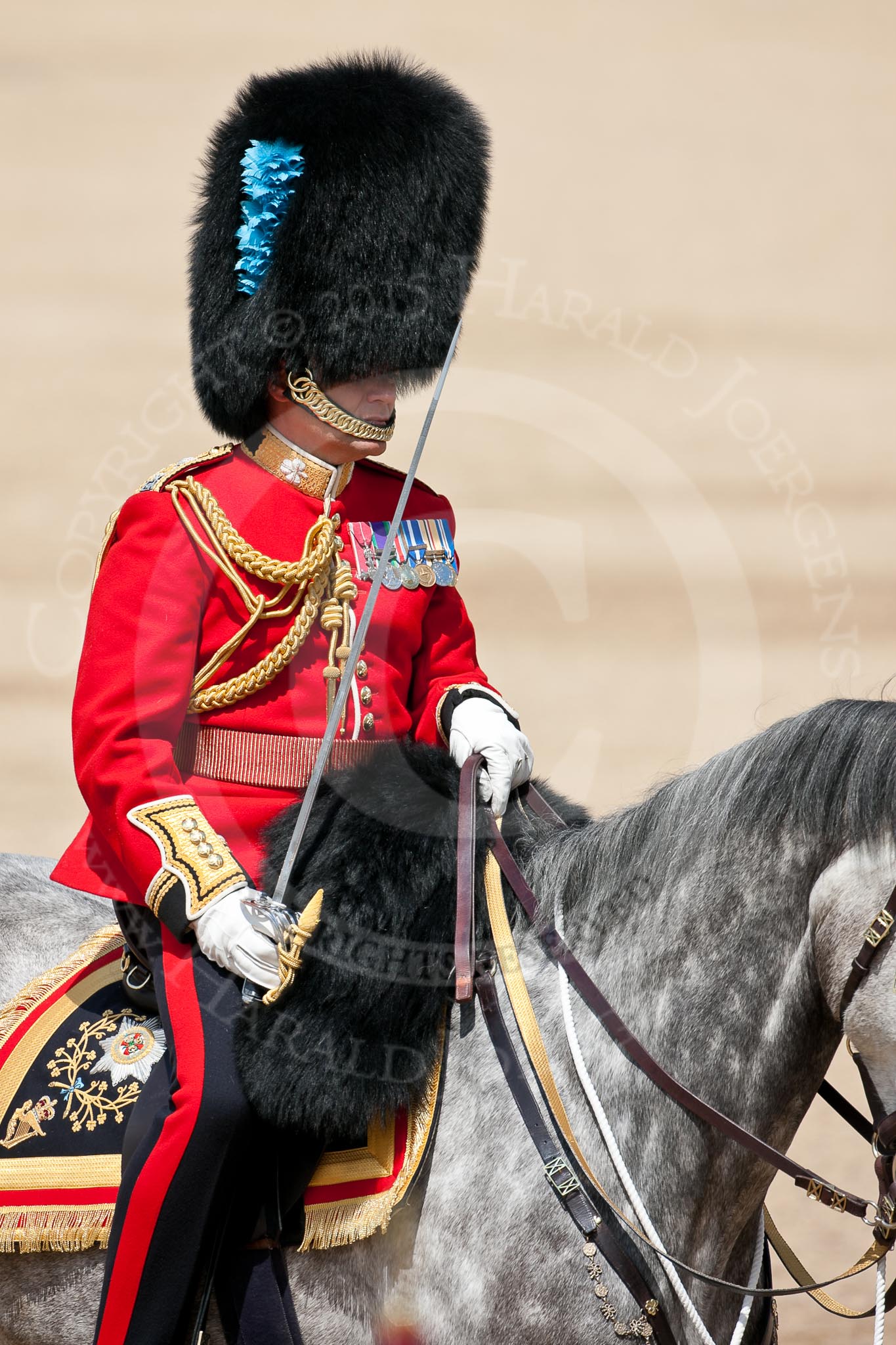 Trooping the Colour 2009: The Field Officer, Lieutenant Colonel Ben Farrell, Irish Guards, riding 'Wellesley'..
Horse Guards Parade, Westminster,
London SW1,

United Kingdom,
on 13 June 2009 at 11:41, image #214