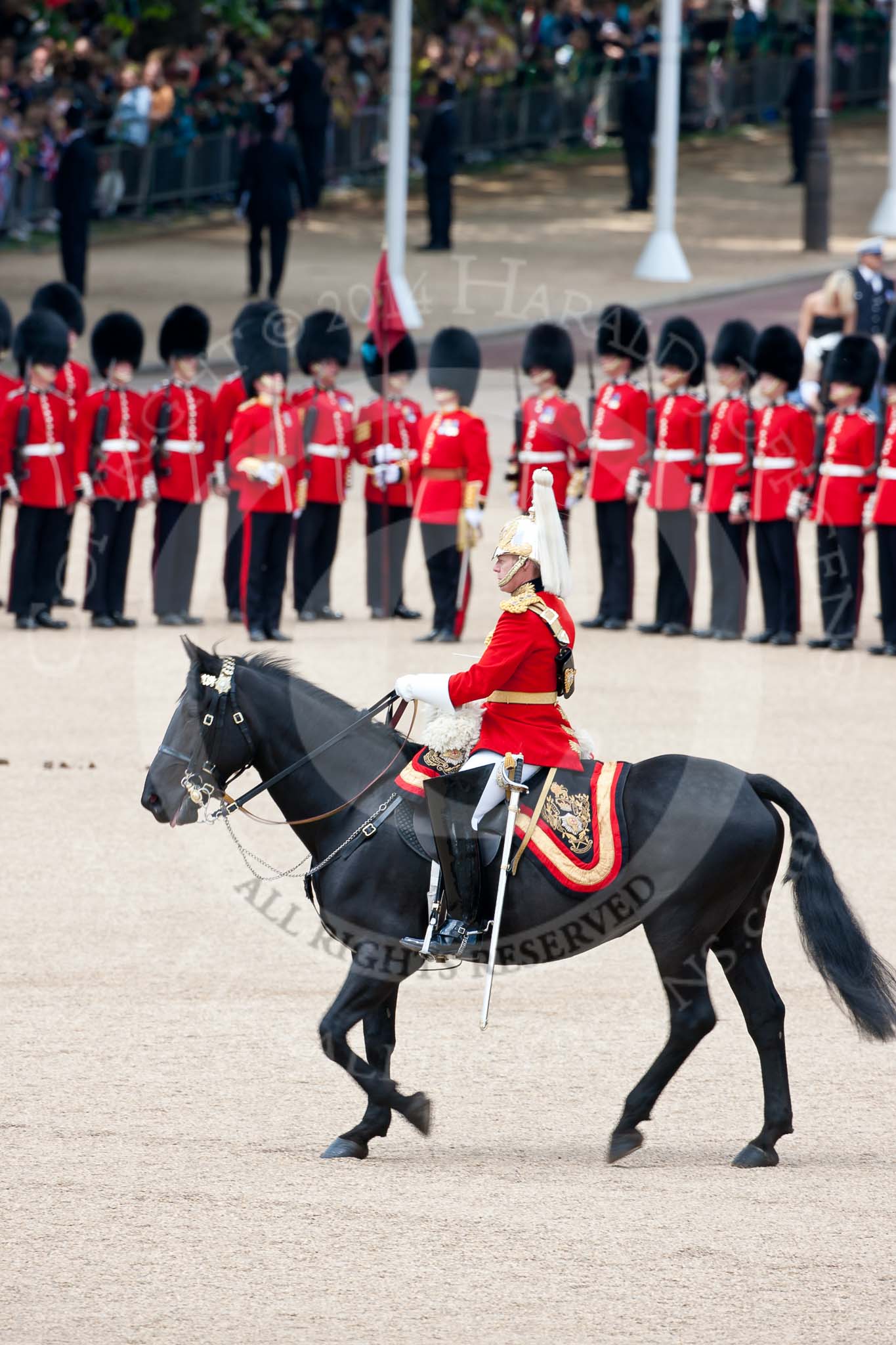 Trooping the Colour 2009: The Ride Past of the Mounted Bands of the Household Cavalry, here the Director of Music, Captain K Davies, riding past No. 5 and No. 6 Guard..
Horse Guards Parade, Westminster,
London SW1,

United Kingdom,
on 13 June 2009 at 11:54, image #228