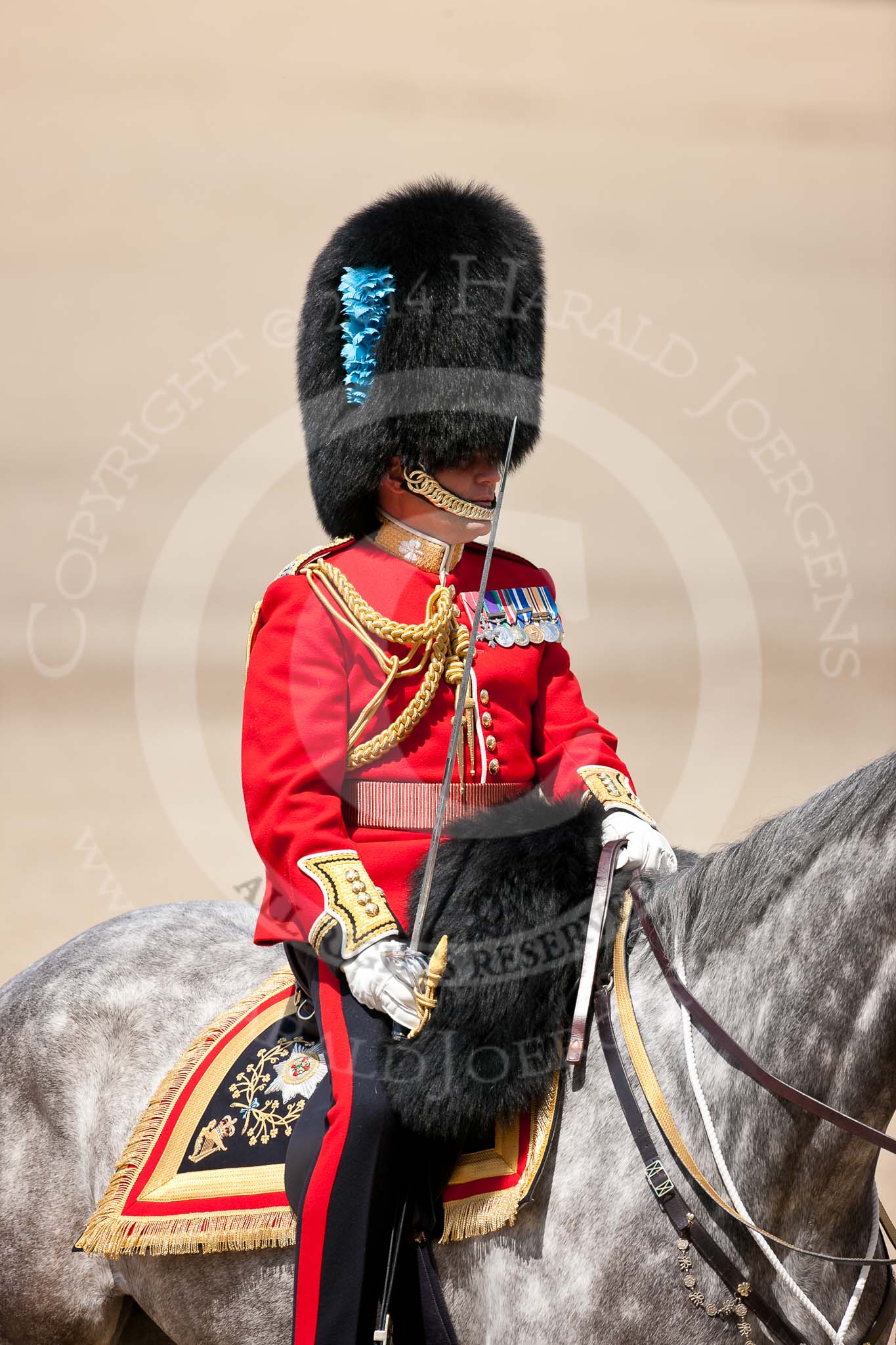 Trooping the Colour 2009: The Field Officer, Lieutenant Colonel Ben Farrell, has got permission from HM The Queen to march off..
Horse Guards Parade, Westminster,
London SW1,

United Kingdom,
on 13 June 2009 at 12:09, image #252