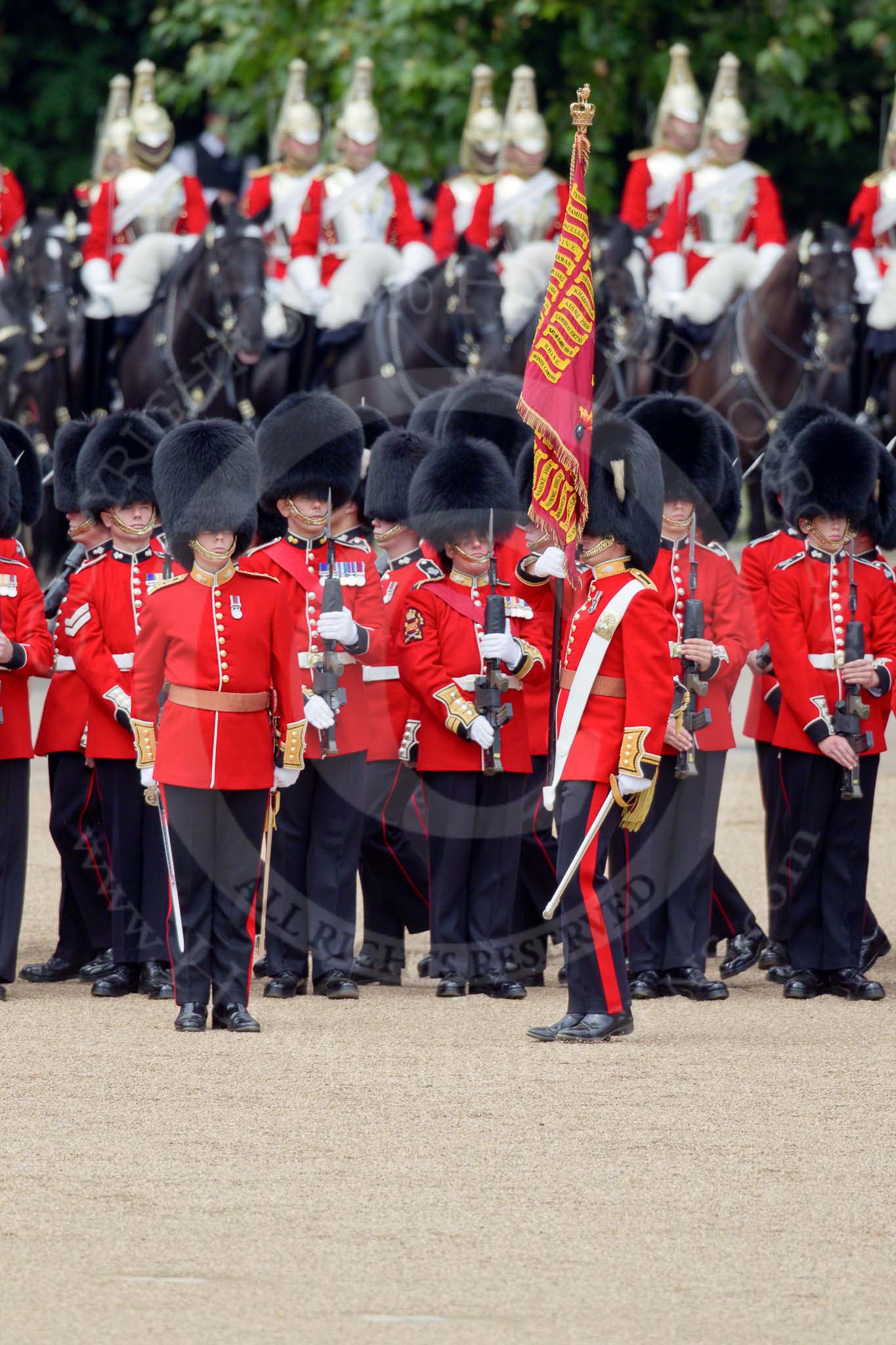 Trooping the Colour 2010: The Ensign to the Colour, 2nd Lieutenant James Brown, 1st Battalion Grenadier Guards, has just received the regimental flag. The real &quot;trooping&quot; of the Colour is about to begin..
Horse Guards Parade, Westminster,
London SW1,
Greater London,
United Kingdom,
on 12 June 2010 at 11:26, image #130