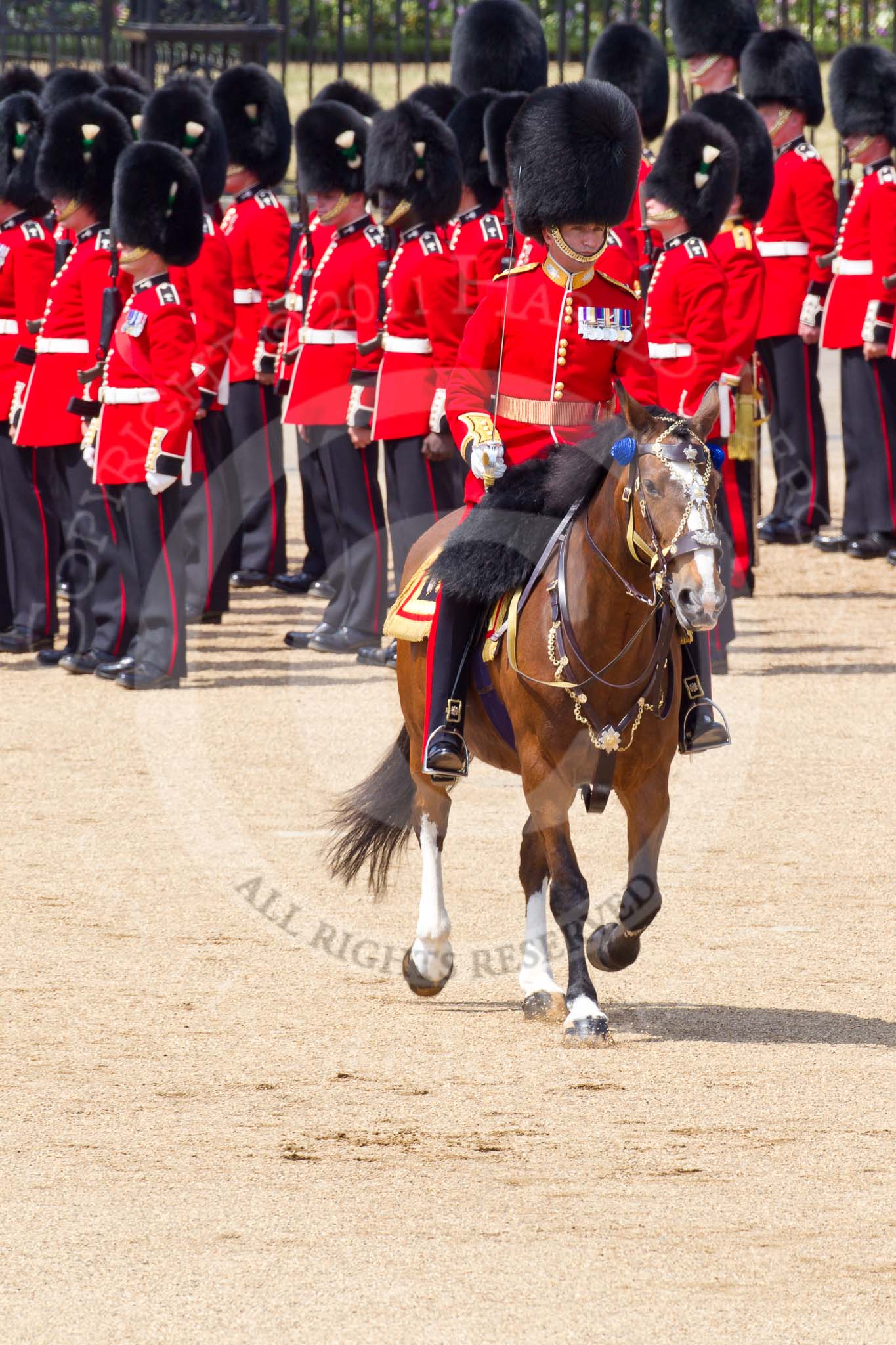 The Colonel's Review 2011: The Field Officer, Lieutenant Colonel L P M Jopp, riding 'Burniston', about to ask permission to march off..
Horse Guards Parade, Westminster,
London SW1,

United Kingdom,
on 04 June 2011 at 12:04, image #280