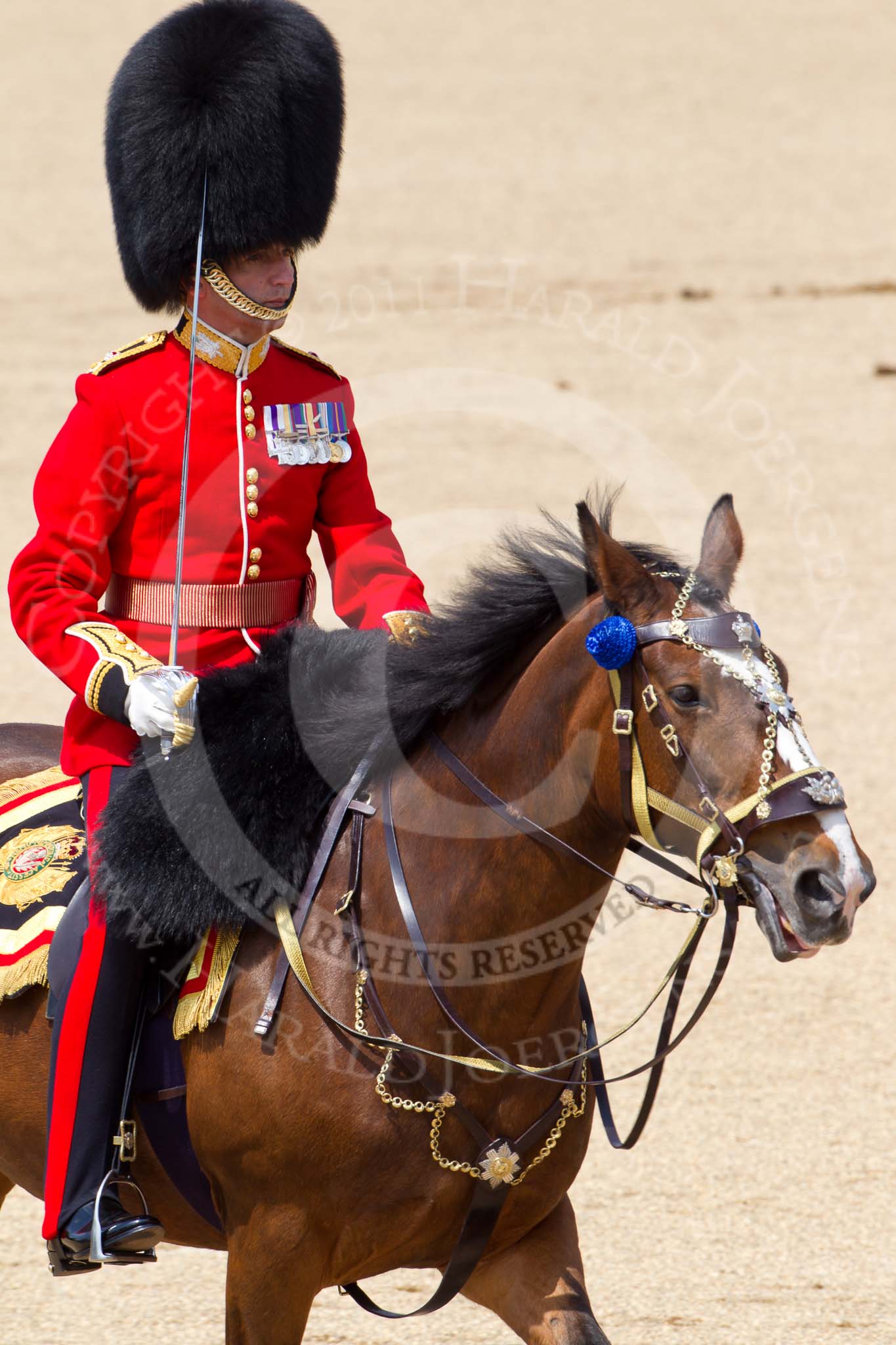 The Colonel's Review 2011: The Field Officer, Lieutenant Colonel L P M Jopp, riding 'Burniston', about to ask permission to march off..
Horse Guards Parade, Westminster,
London SW1,

United Kingdom,
on 04 June 2011 at 12:05, image #281