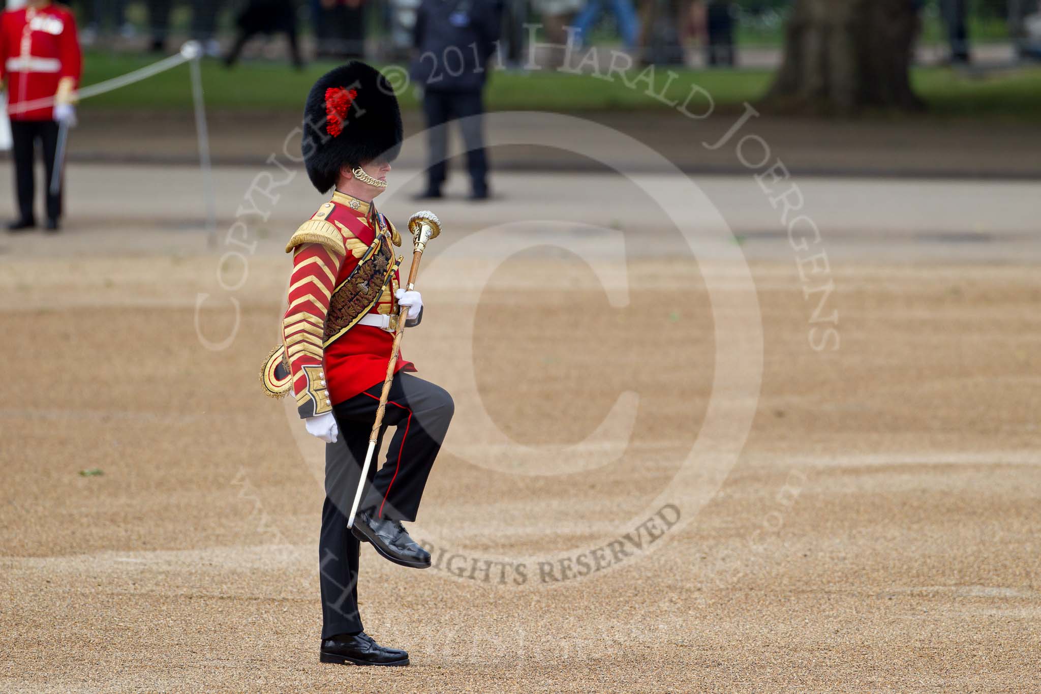 The Major General's Review 2011: Close-up of Drum Major Tony Taylor, No. 7 Company Coldstream Guards..
Horse Guards Parade, Westminster,
London SW1,
Greater London,
United Kingdom,
on 28 May 2011 at 10:19, image #28