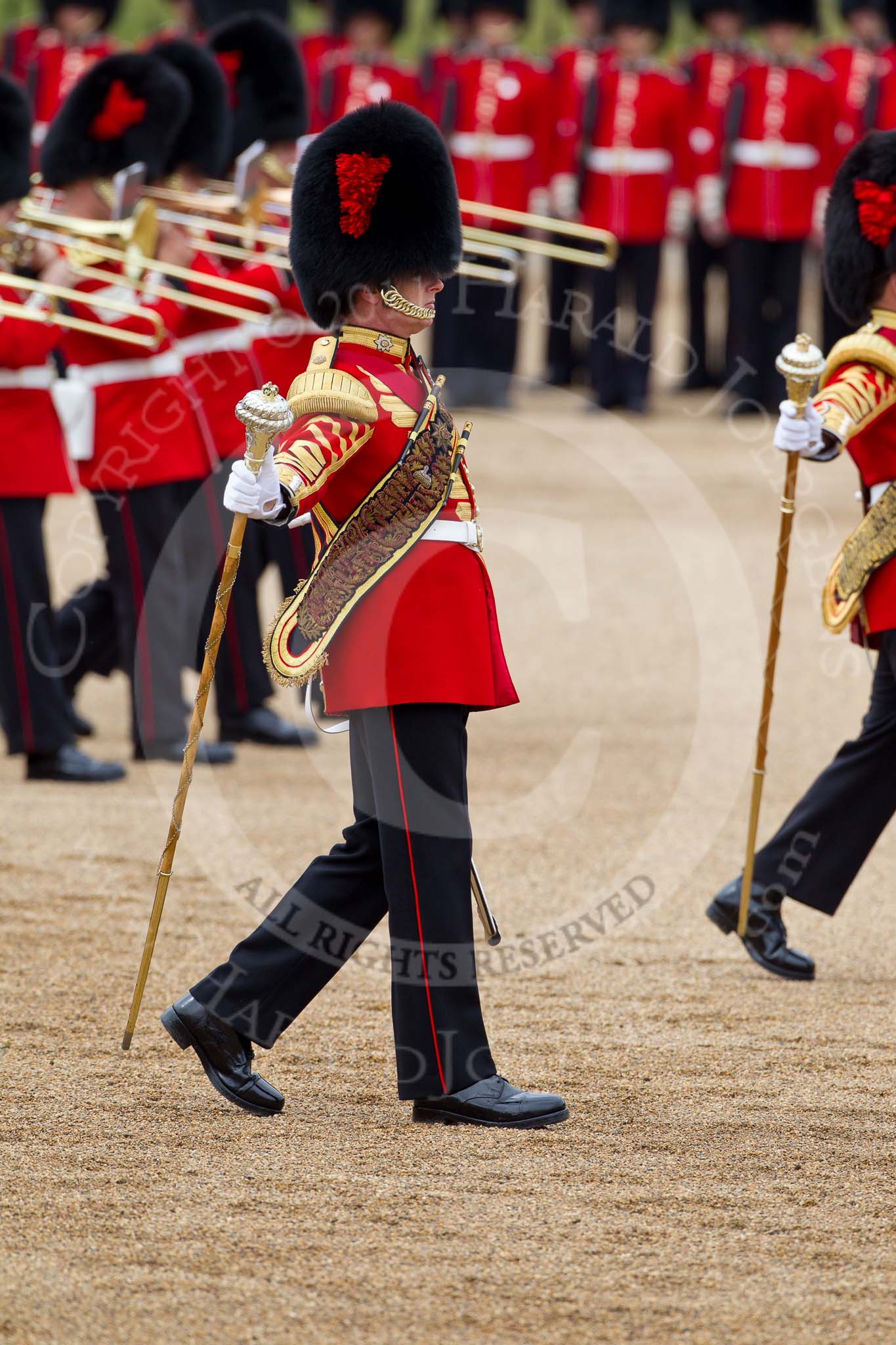 The Major General's Review 2011: Drum Major Tony Taylor, No. 7 Company Coldstream Guards, leading the Band of the Irish Guards..
Horse Guards Parade, Westminster,
London SW1,
Greater London,
United Kingdom,
on 28 May 2011 at 11:08, image #134