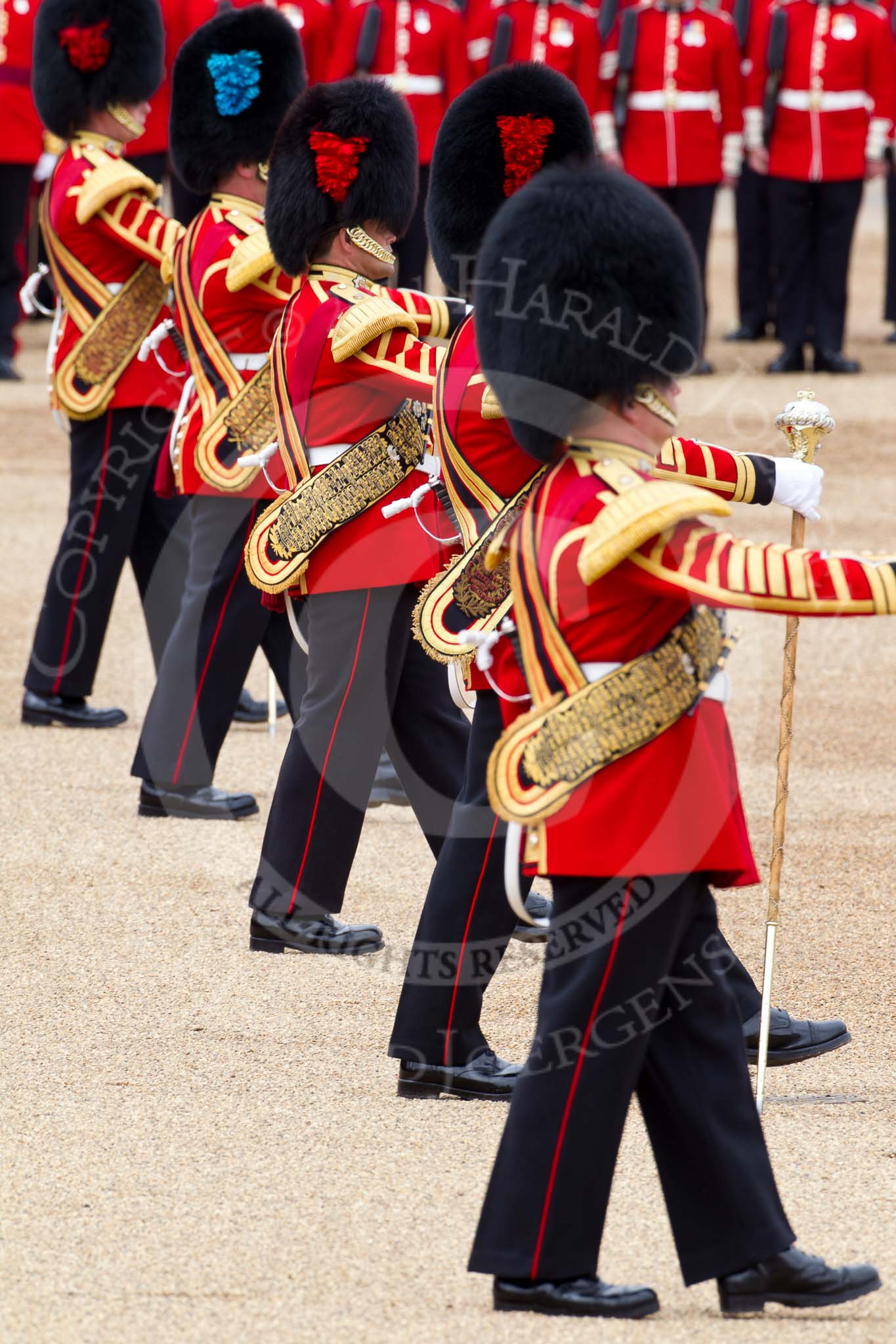 The Major General's Review 2011: The five Drum Majors together..
Horse Guards Parade, Westminster,
London SW1,
Greater London,
United Kingdom,
on 28 May 2011 at 11:08, image #135