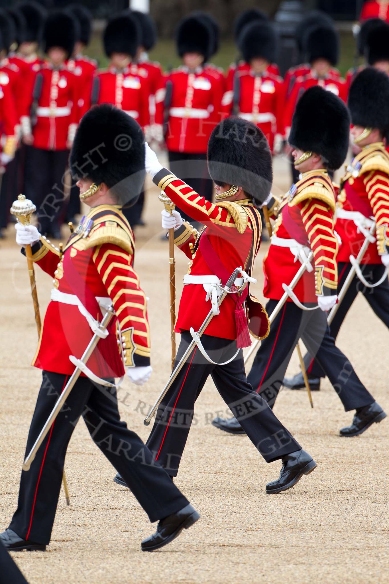 The Major General's Review 2011: Four of the five drum majors..
Horse Guards Parade, Westminster,
London SW1,
Greater London,
United Kingdom,
on 28 May 2011 at 11:12, image #142