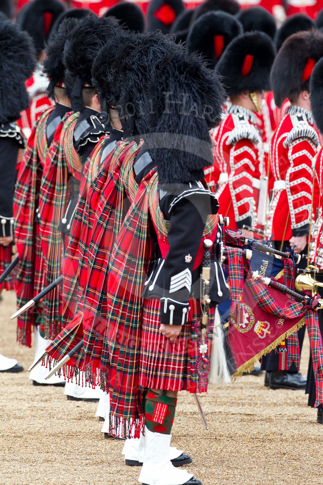 The Major General's Review 2011: Pipers from the Band of the Scotch Guards, behind drummers from the Band of the Coldstream Guards..
Horse Guards Parade, Westminster,
London SW1,
Greater London,
United Kingdom,
on 28 May 2011 at 11:13, image #147