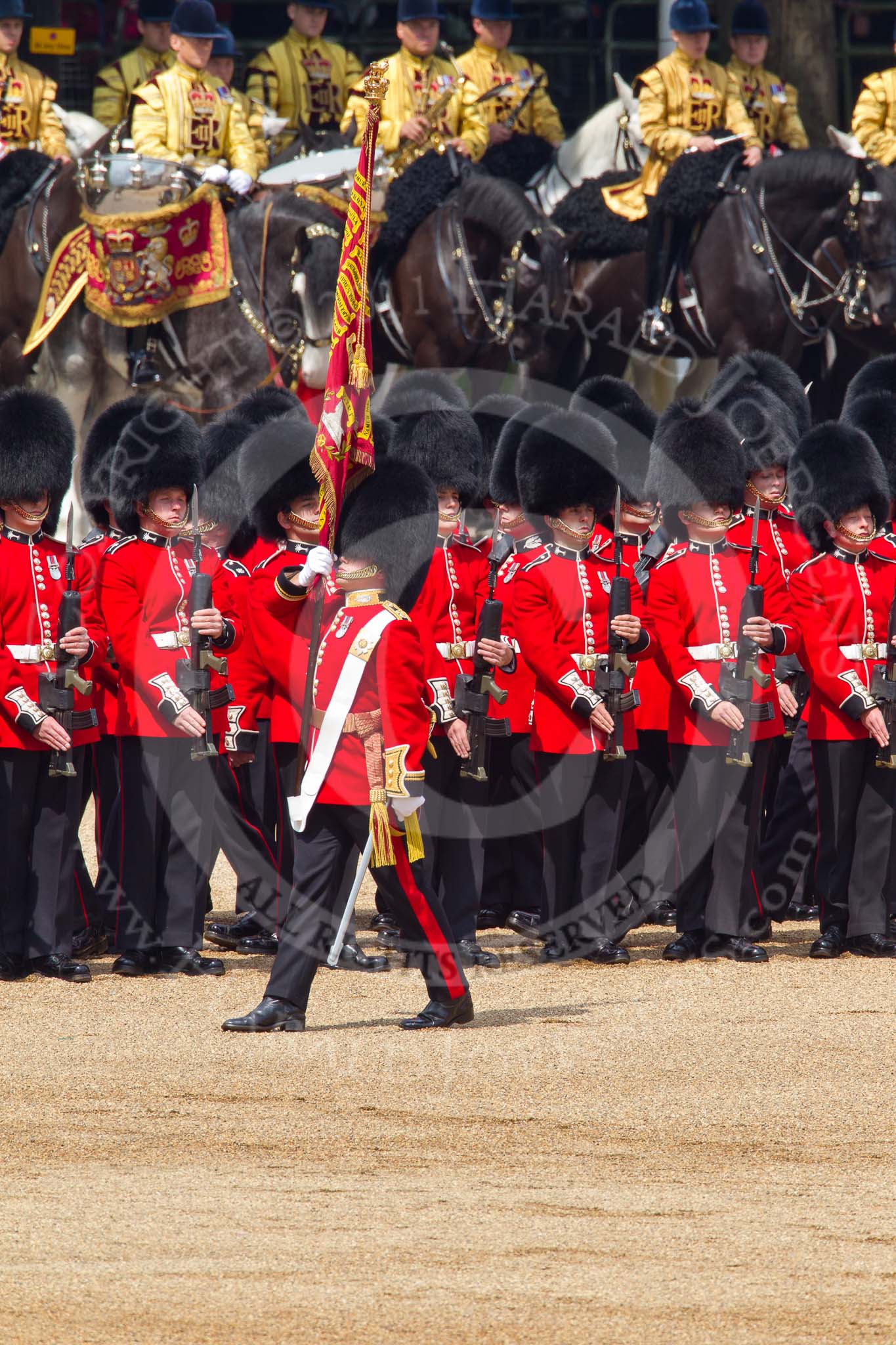 Trooping the Colour 2011: The Ensign for the Colour, Lt. Tom Ogilvy, Scots Guards, is carrying the Colour through the ranks of the assembled guardsmen..
Horse Guards Parade, Westminster,
London SW1,
Greater London,
United Kingdom,
on 11 June 2011 at 11:26, image #211