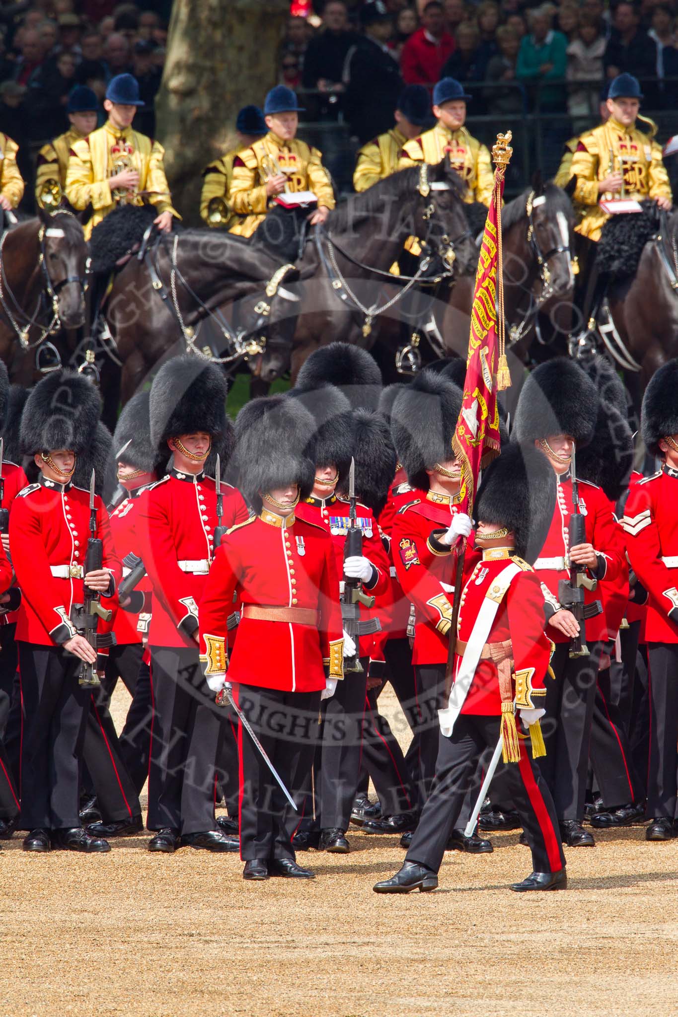 Trooping the Colour 2011: The Ensign for the Colour, Lt. Tom Ogilvy, Scots Guards, is carrying the Colour through the ranks of the assembled guardsmen..
Horse Guards Parade, Westminster,
London SW1,
Greater London,
United Kingdom,
on 11 June 2011 at 11:26, image #212