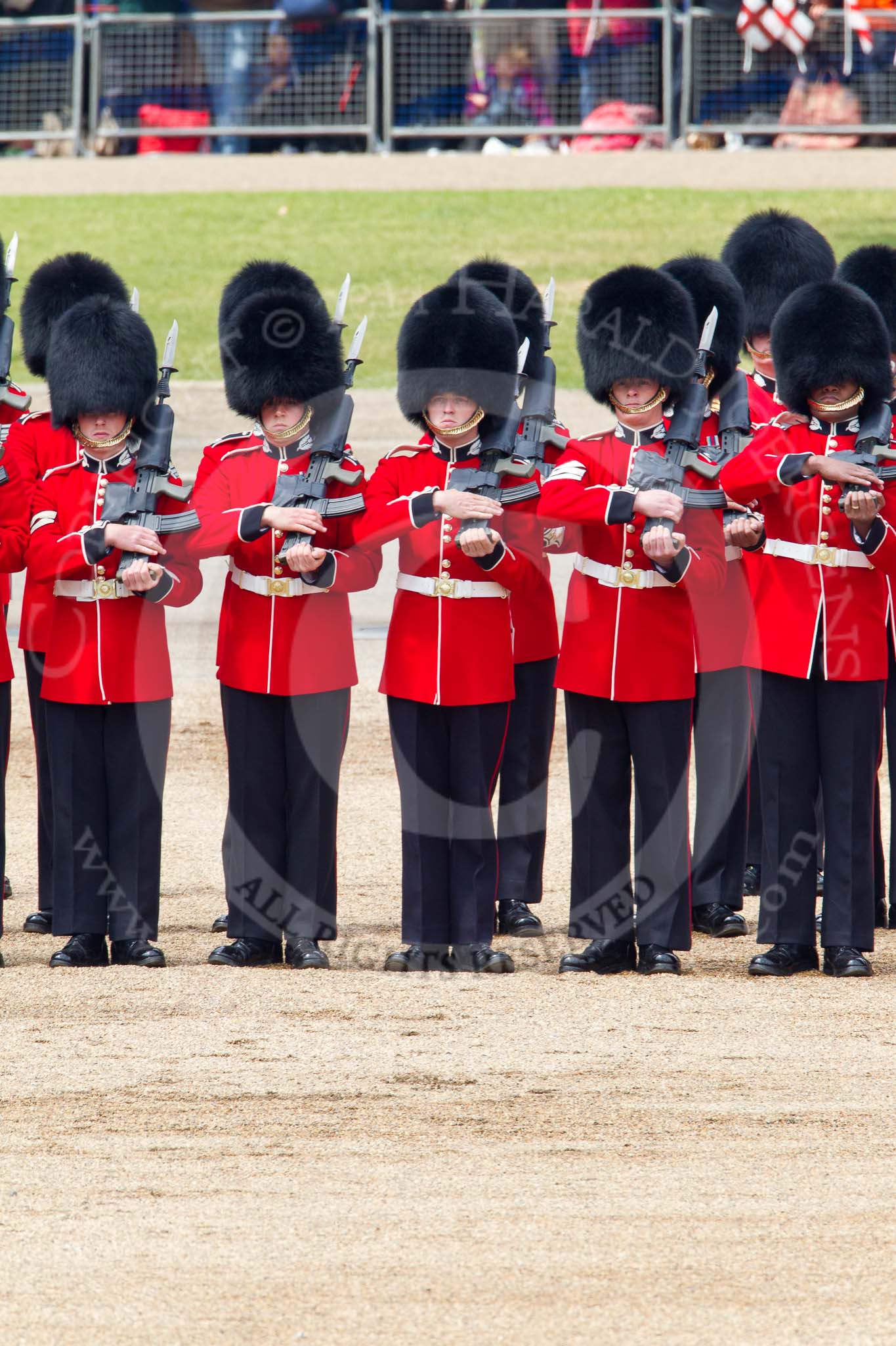 Trooping the Colour 2011: No. 2 Guard, B Company Scots Guards, about to present arms, as the Colour is trooped along the line of guards..
Horse Guards Parade, Westminster,
London SW1,
Greater London,
United Kingdom,
on 11 June 2011 at 11:28, image #216