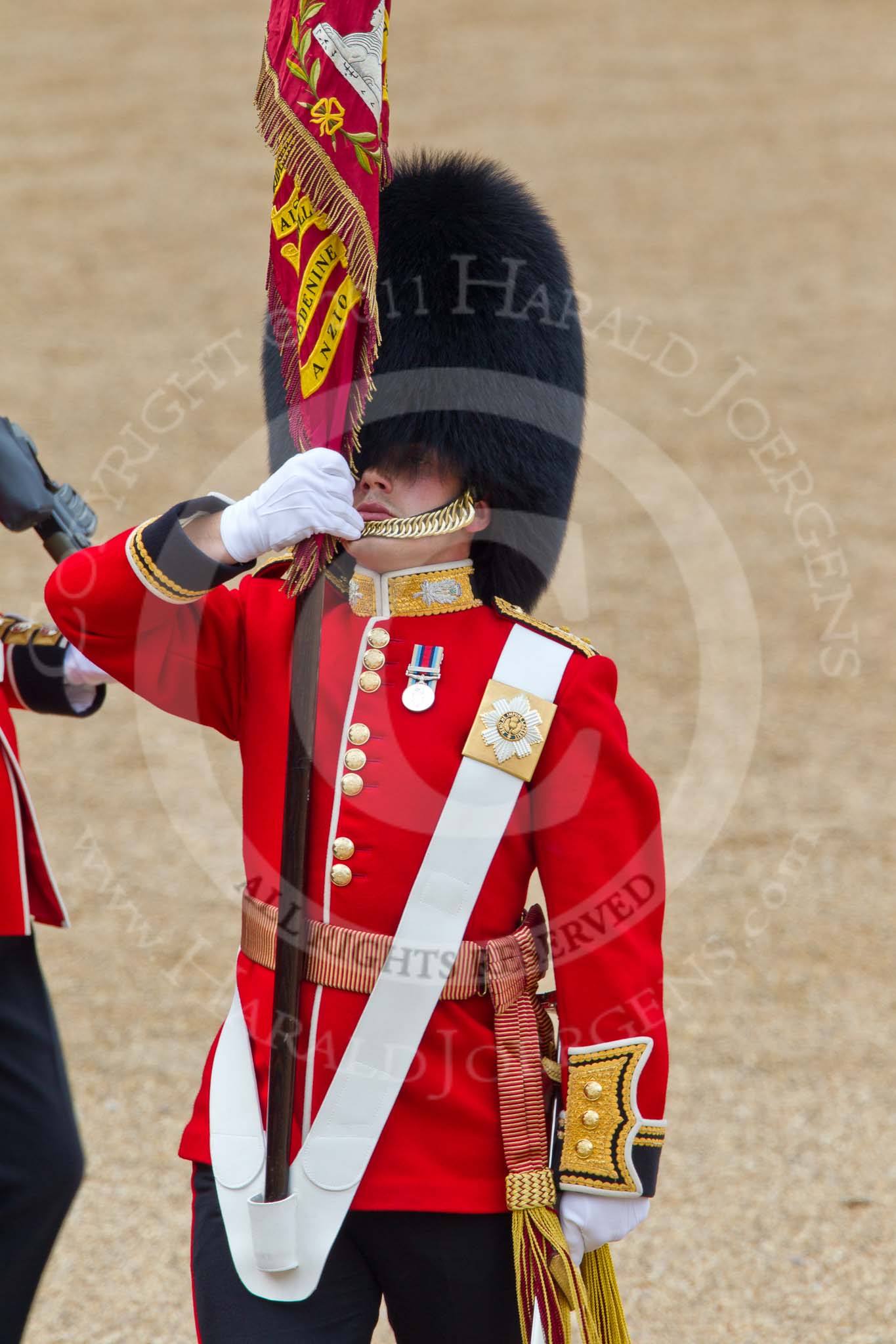 Trooping the Colour 2011: Close-up of the Ensign, Lieutenant Tom Ogilvy, carrying the Colour in his white colour belt..
Horse Guards Parade, Westminster,
London SW1,
Greater London,
United Kingdom,
on 11 June 2011 at 11:35, image #231