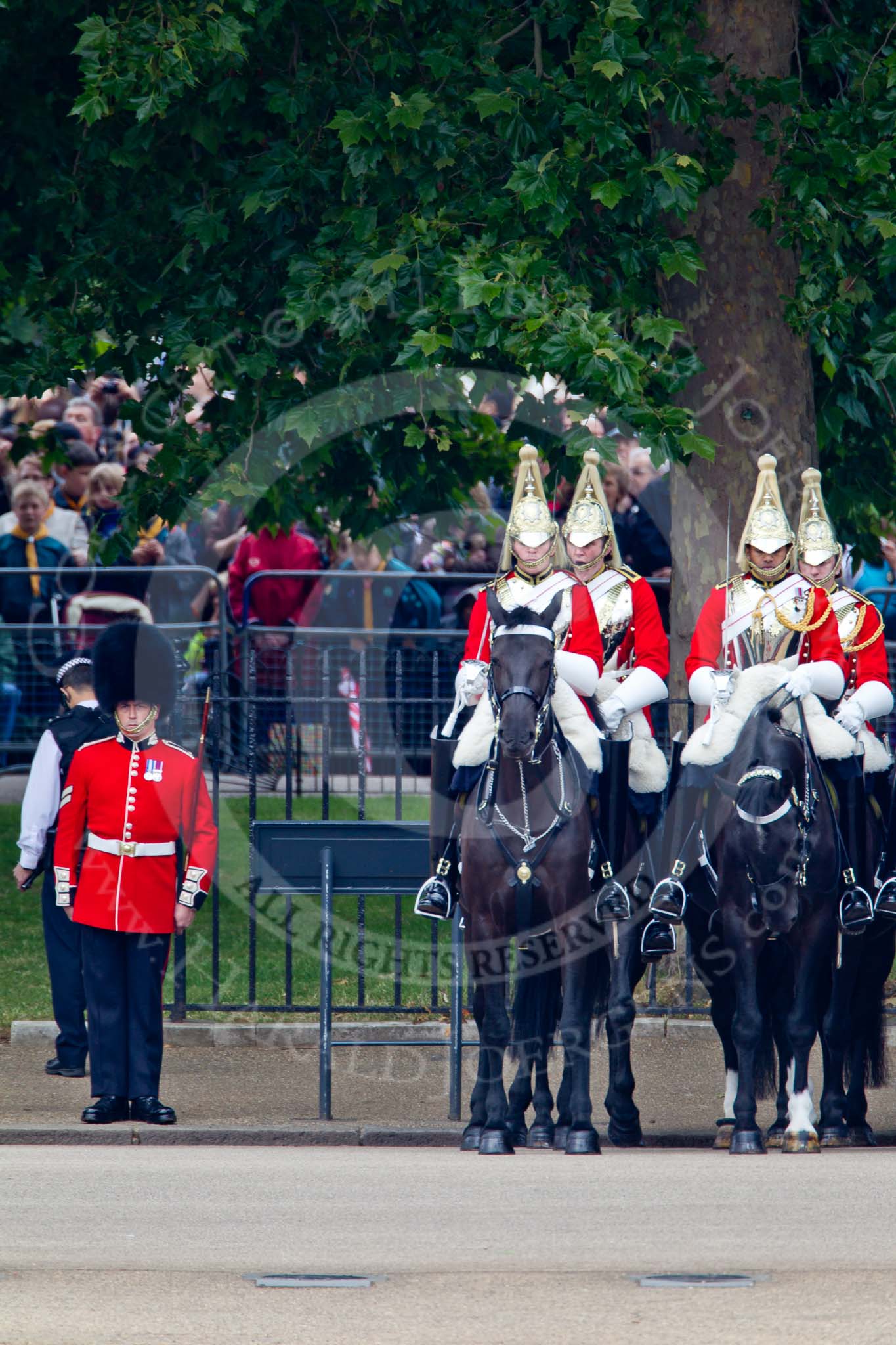 Trooping the Colour 2011: Household Cavalry: The Life Guards, at the St.James's Park side of Horse Guards Parade, lots of spectators watching the parade from the park..
Horse Guards Parade, Westminster,
London SW1,
Greater London,
United Kingdom,
on 11 June 2011 at 11:45, image #291