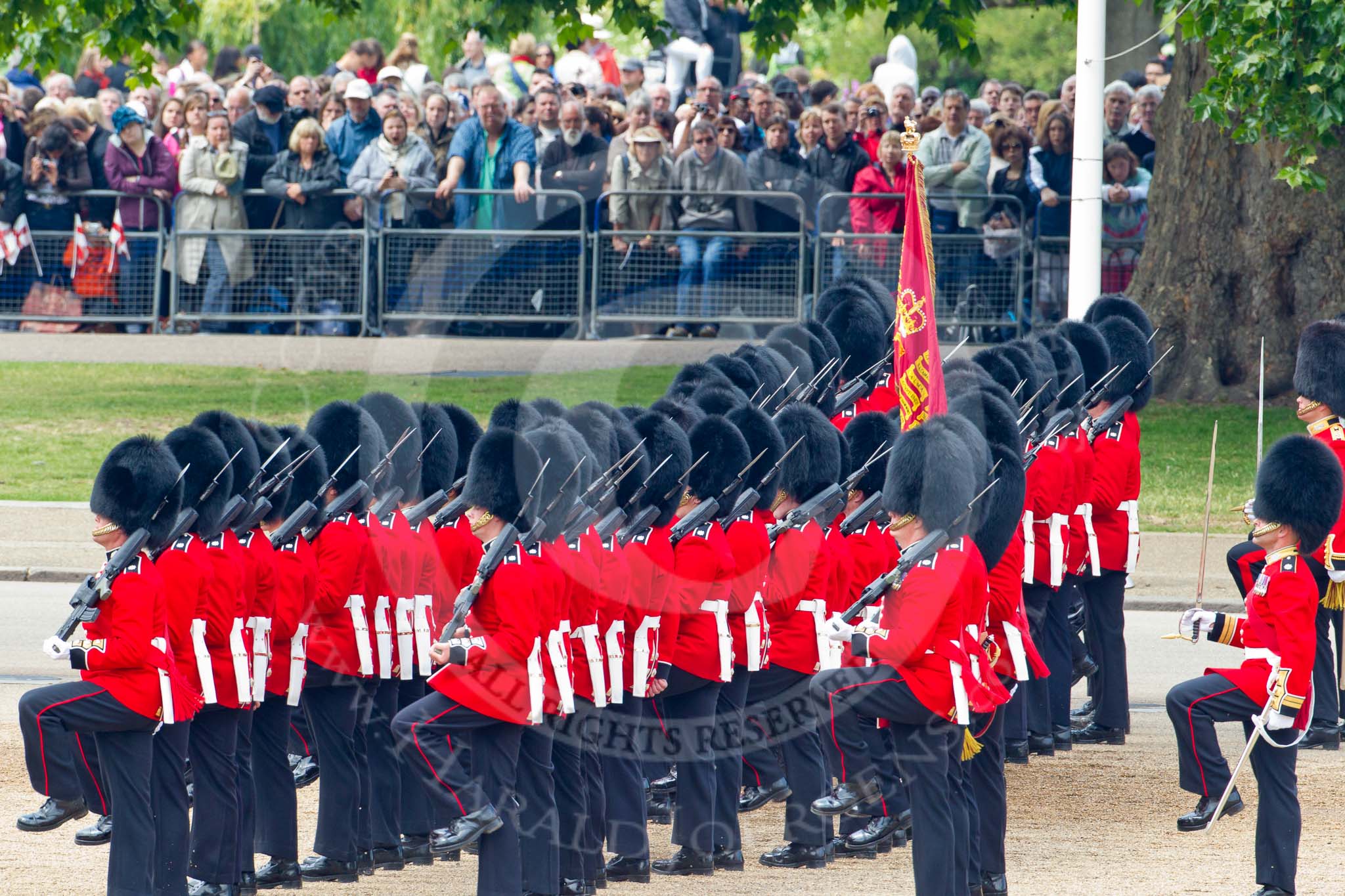 Trooping the Colour 2011: The Escort to the Colour, 1st Battalion Scots Guards, during the March Past..
Horse Guards Parade, Westminster,
London SW1,
Greater London,
United Kingdom,
on 11 June 2011 at 11:50, image #303