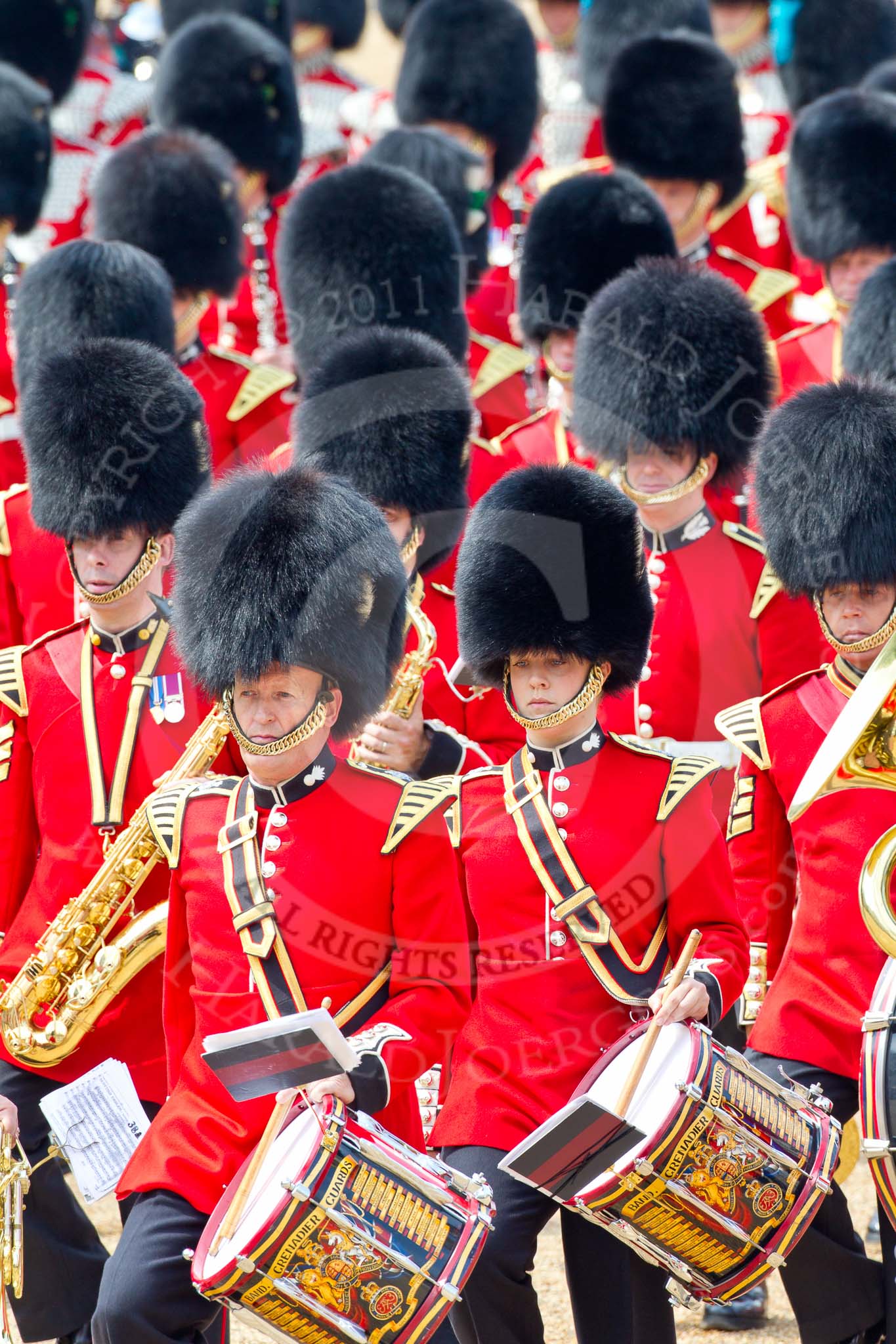 Trooping the Colour 2011: Drummers of the Band of the Grenadier Guards..
Horse Guards Parade, Westminster,
London SW1,
Greater London,
United Kingdom,
on 11 June 2011 at 11:53, image #311