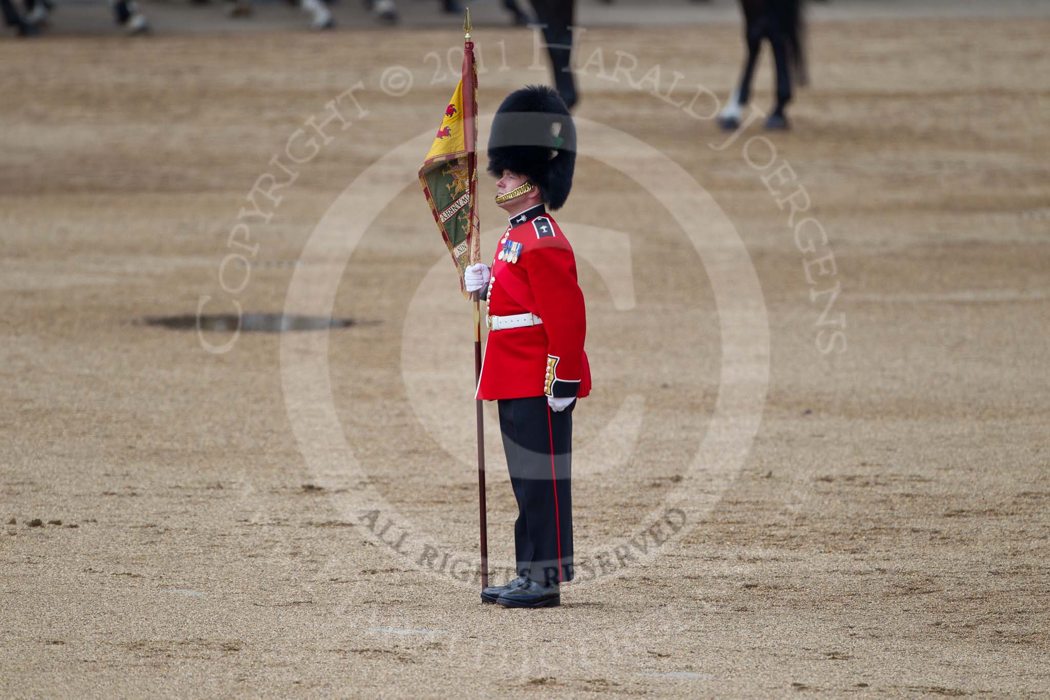 Trooping the Colour 2011: 'Keeper of the Ground' from the Welsh Guards, marking the position of the guard on the parade ground..
Horse Guards Parade, Westminster,
London SW1,
Greater London,
United Kingdom,
on 11 June 2011 at 12:06, image #390