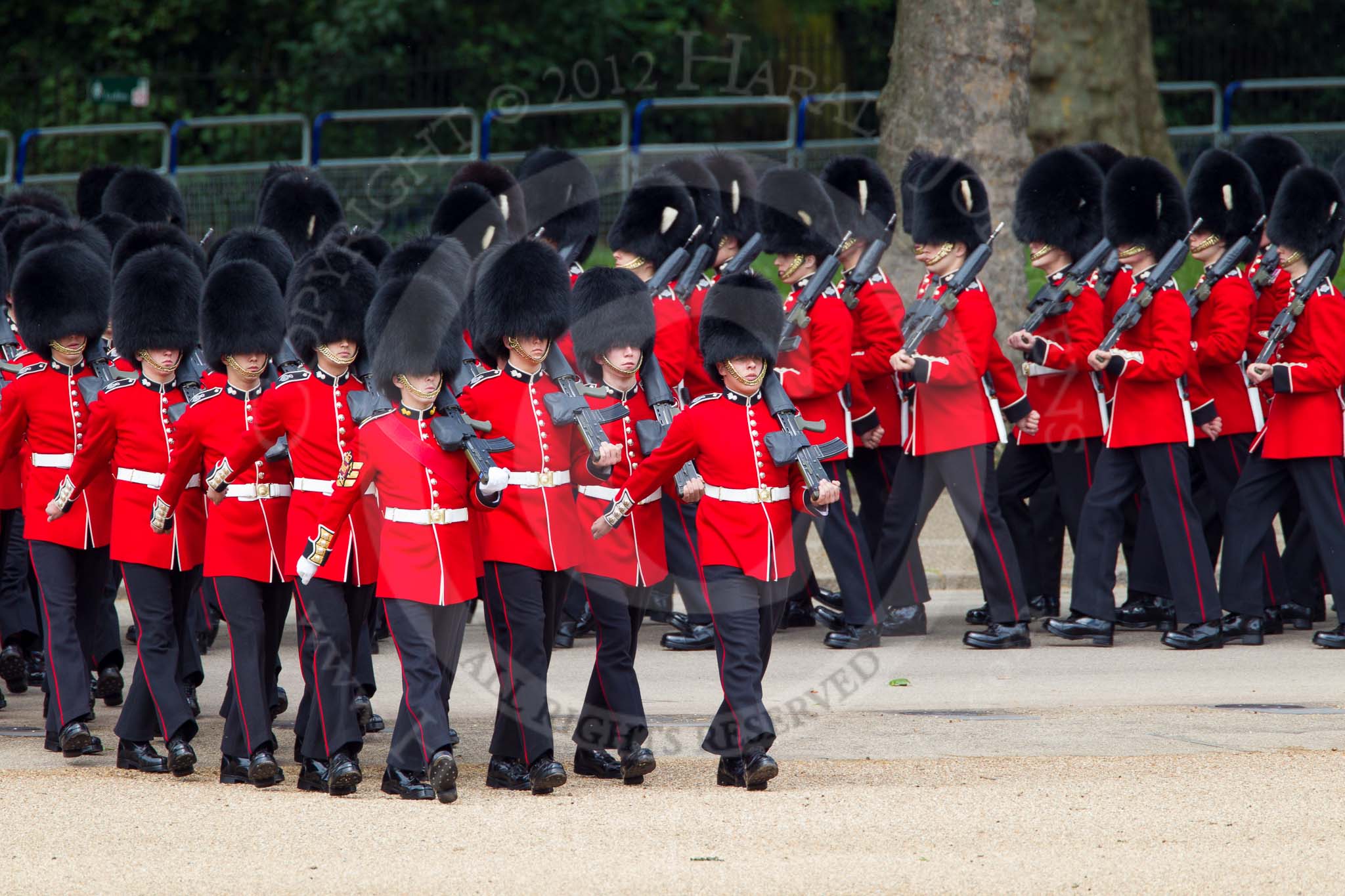 The Colonel's Review 2012: No. 4 Guard (Nijmegen Company Grenadier Guards)..
Horse Guards Parade, Westminster,
London SW1,

United Kingdom,
on 09 June 2012 at 10:26, image #65