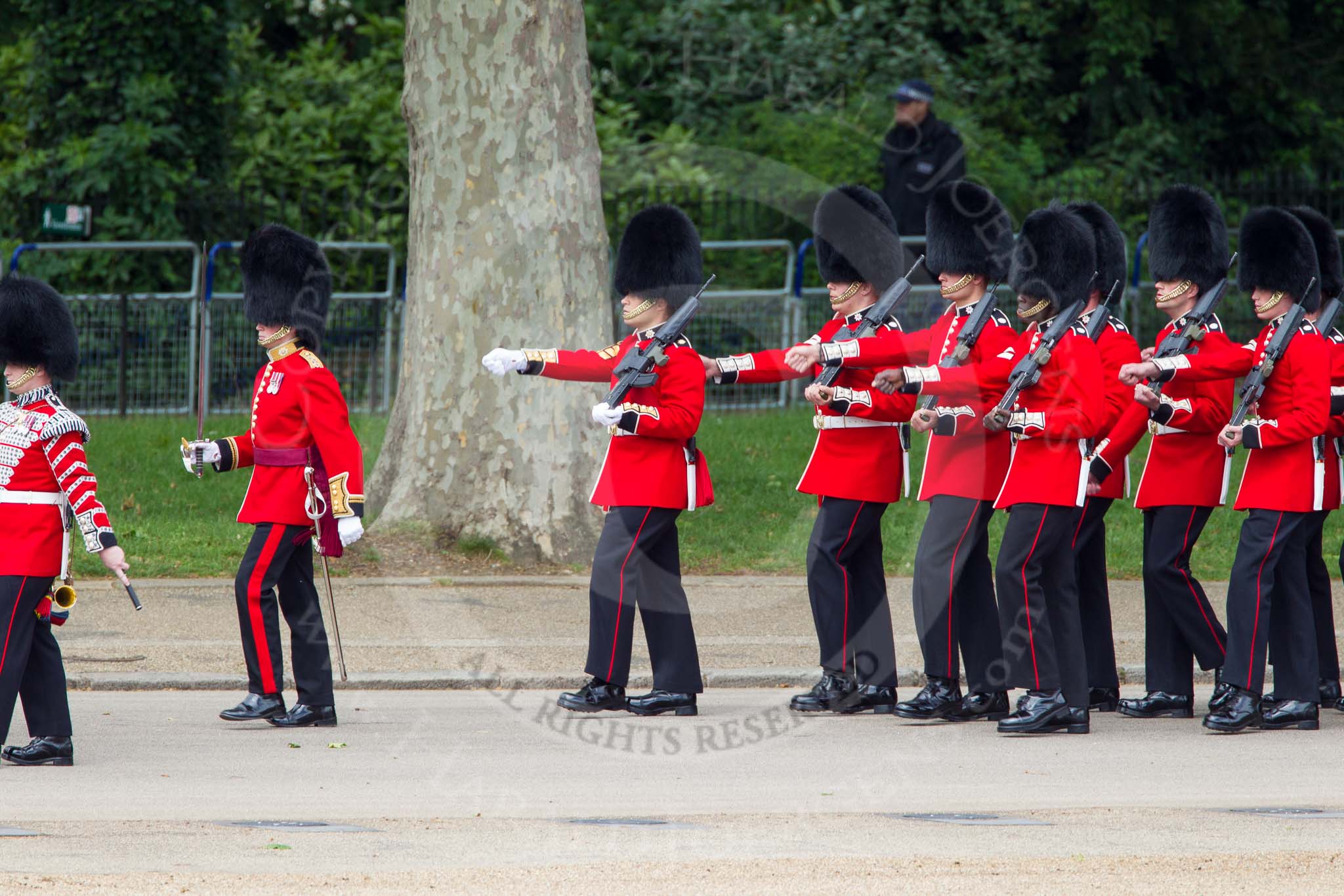 The Colonel's Review 2012: No. 2 guard, 1st Battalion Coldstream Guards, following the Band of the Coldstream Guards..
Horse Guards Parade, Westminster,
London SW1,

United Kingdom,
on 09 June 2012 at 10:29, image #76