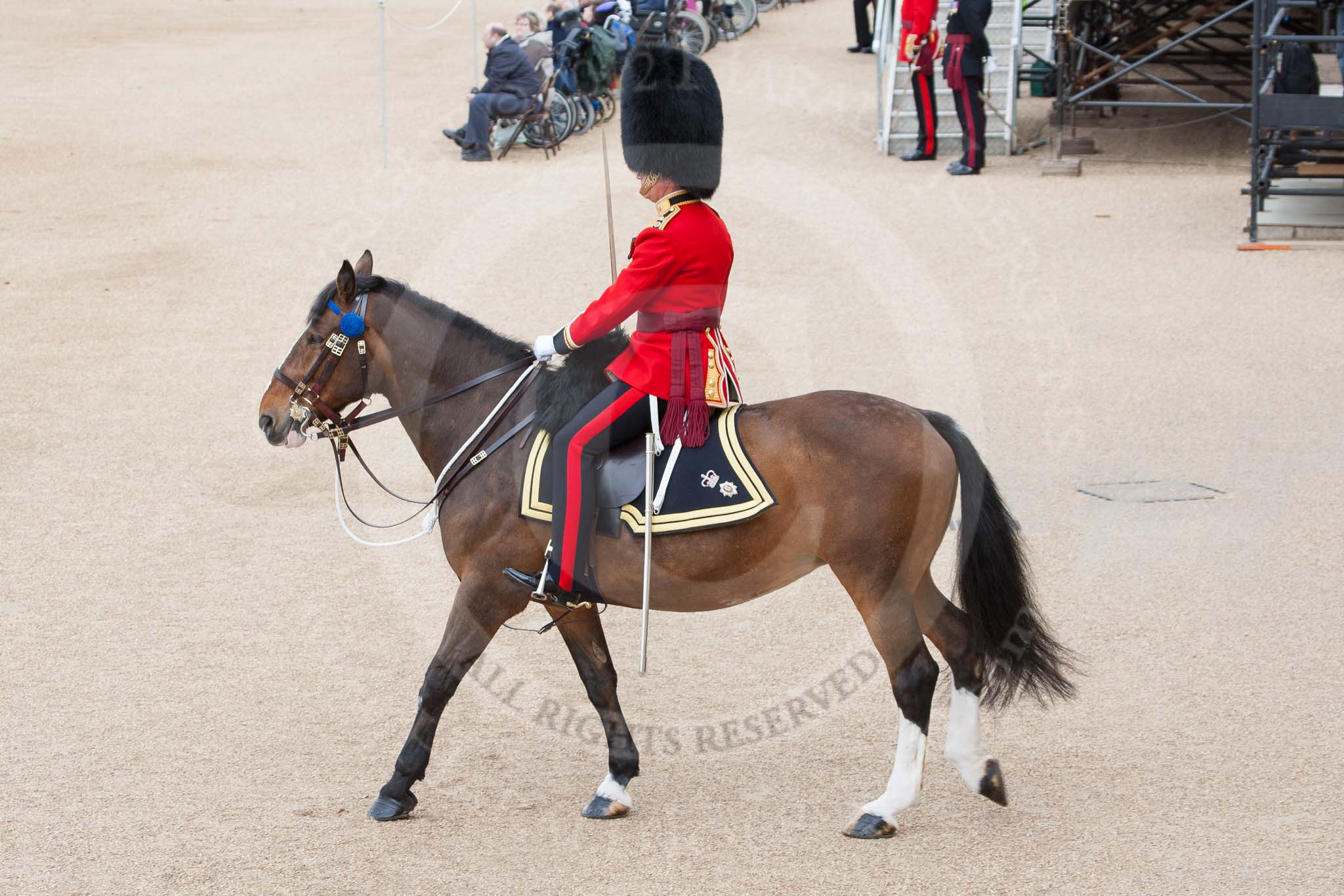 The Colonel's Review 2012: The Field Officer in Brigade Waiting, Lieutenant Colonel R C N Sergeant, Coldstream Guards, riding the experienced Burniston..
Horse Guards Parade, Westminster,
London SW1,

United Kingdom,
on 09 June 2012 at 10:38, image #101