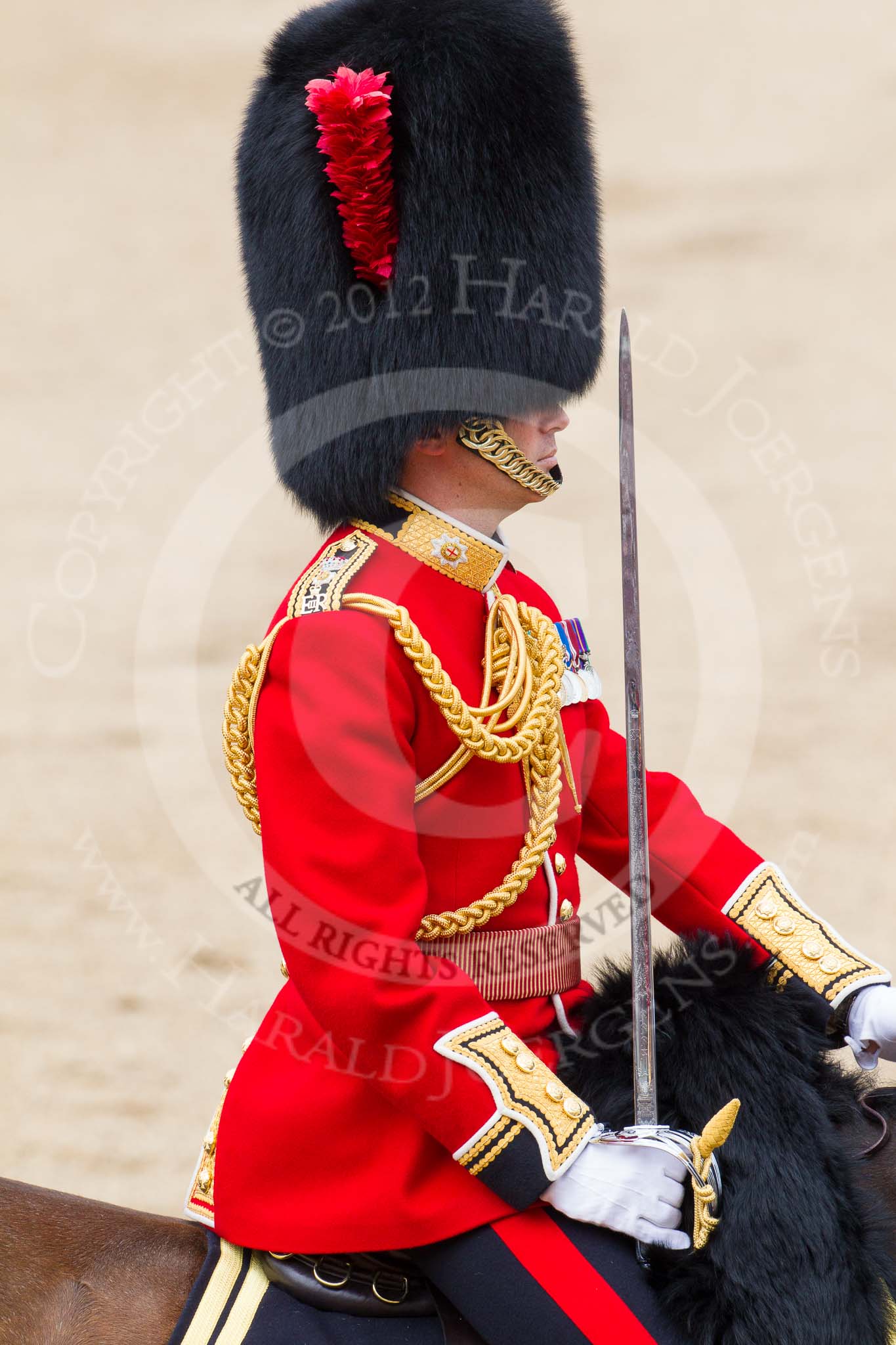 Trooping the Colour 2012: Close-up of the Field Officer in Brigade Waiting
Lieutenant Colonel R C N Sergeant, Coldstream Guards..
Horse Guards Parade, Westminster,
London SW1,

United Kingdom,
on 16 June 2012 at 11:45, image #484