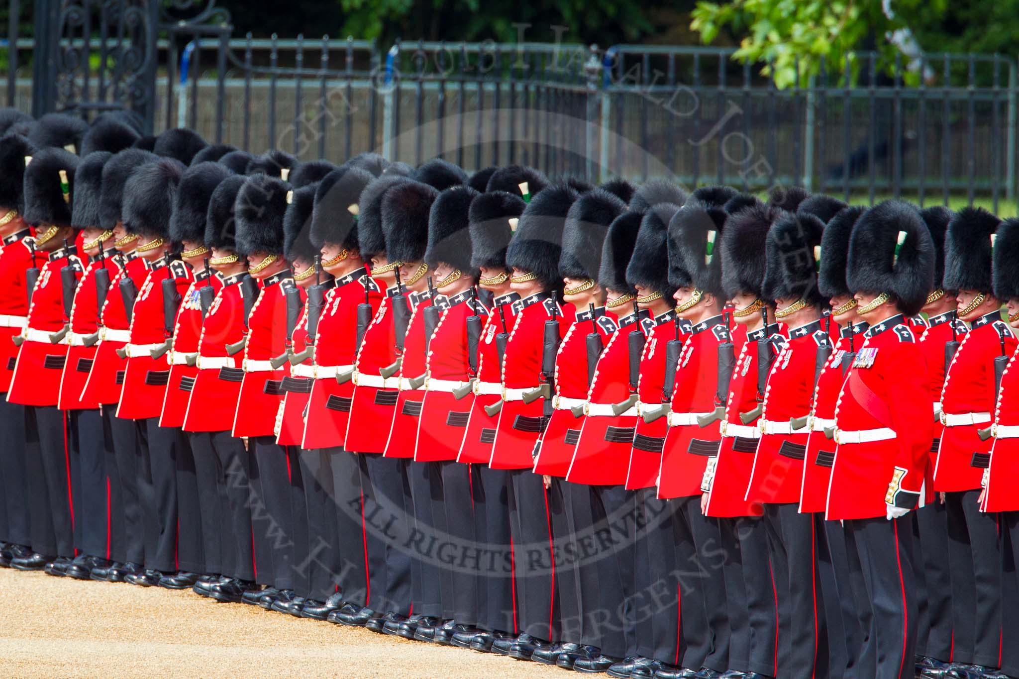 The Colonel's Review 2013: No.3 Gaurd 1st Batalion Welsh Guards..
Horse Guards Parade, Westminster,
London SW1,

United Kingdom,
on 08 June 2013 at 10:30, image #115