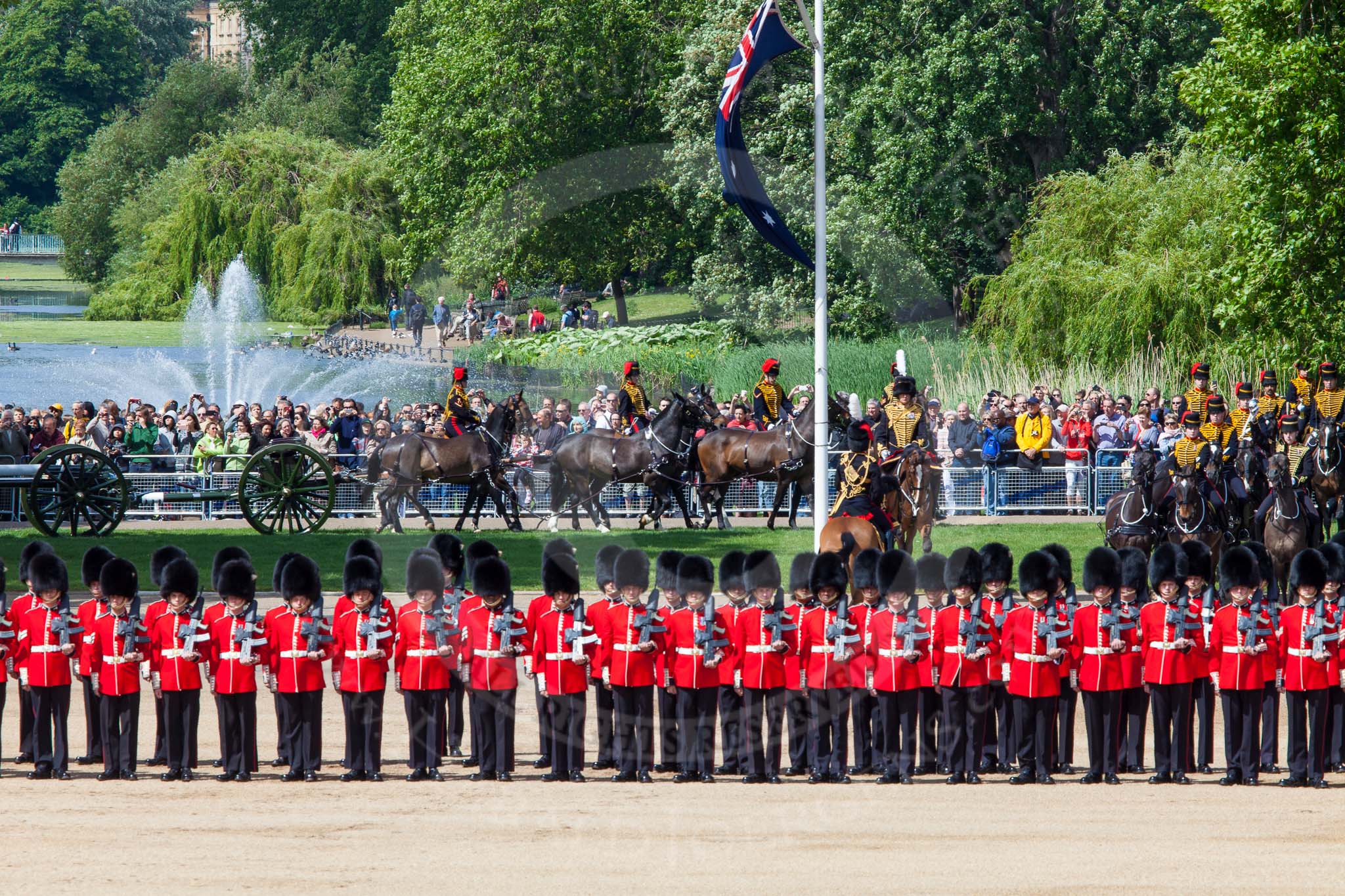 The Colonel's Review 2013: The King's Troop Royal Horse Artillery takes position between No. 1 Guard and St. James's Park..
Horse Guards Parade, Westminster,
London SW1,

United Kingdom,
on 08 June 2013 at 10:39, image #185