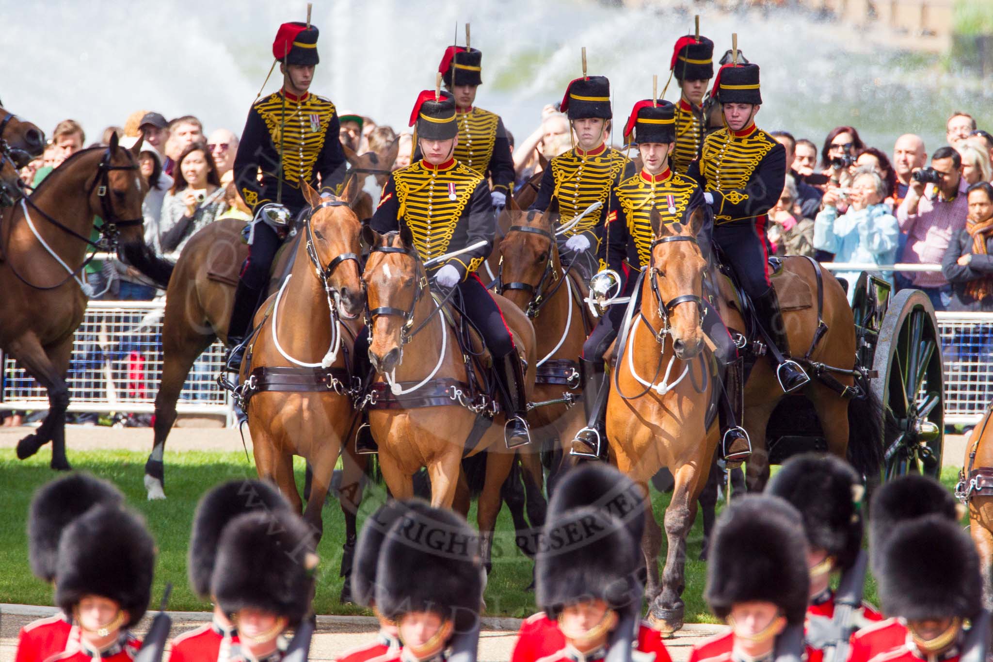 The Colonel's Review 2013: The King's Troop Royal Horse Artillery arrives, and will take position between No. 1 Guard and St. James's Park..
Horse Guards Parade, Westminster,
London SW1,

United Kingdom,
on 08 June 2013 at 10:40, image #189