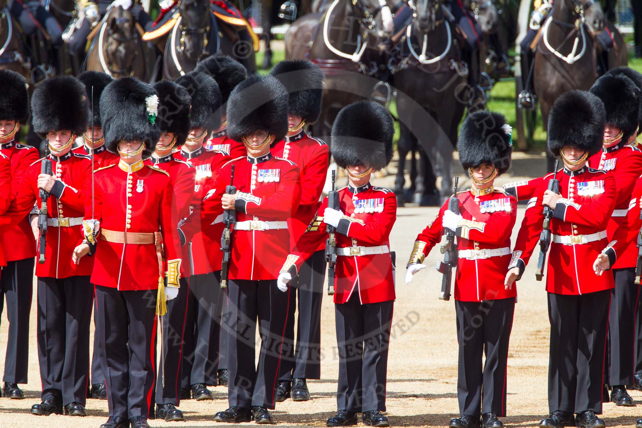 The Colonel's Review 2013: No. 2 Guard, 1 st Battalion Welsh Guards with Captain B Bardsley..
Horse Guards Parade, Westminster,
London SW1,

United Kingdom,
on 08 June 2013 at 10:42, image #204