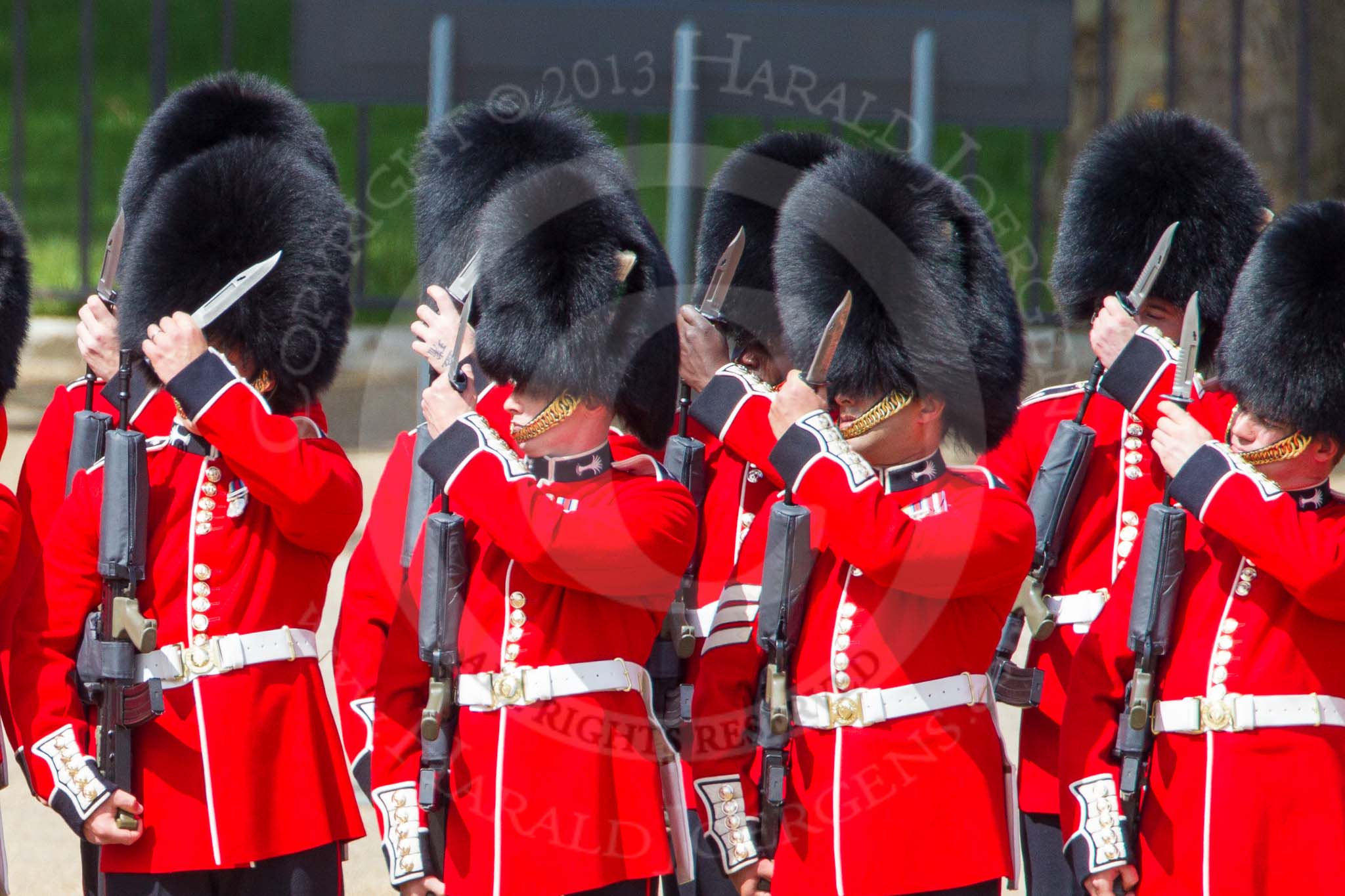 The Colonel's Review 2013: No. 2 Guard, 1 st Battalion Welsh Guards are mounting their bayonets..
Horse Guards Parade, Westminster,
London SW1,

United Kingdom,
on 08 June 2013 at 10:43, image #207