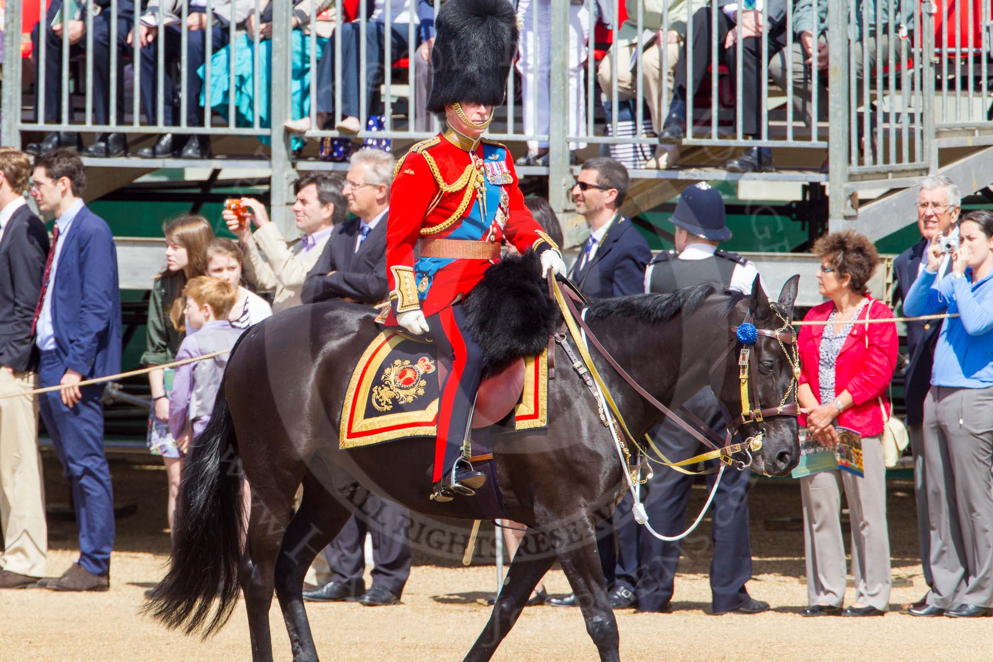 The Colonel's Review 2013: As the Colonel taking the salute, Colonel Welsh Guards, HRH The Prince of Wales..
Horse Guards Parade, Westminster,
London SW1,

United Kingdom,
on 08 June 2013 at 10:59, image #276