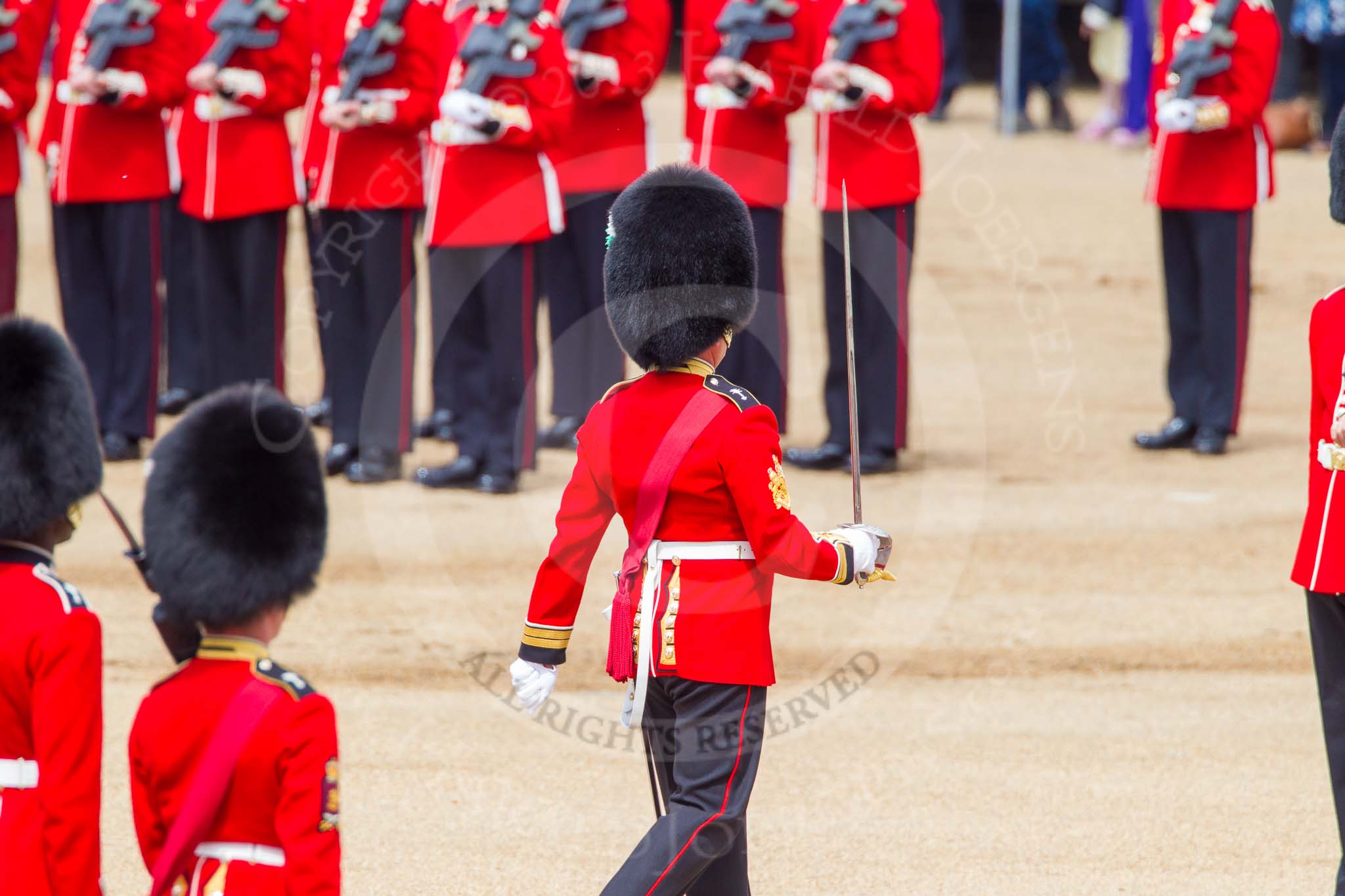 The Colonel's Review 2013: No. 1 Guard the Regimental Sergeant Major, WO1 Martin Topps, Welsh Guards marches forward followed by the Ensign..
Horse Guards Parade, Westminster,
London SW1,

United Kingdom,
on 08 June 2013 at 11:18, image #498