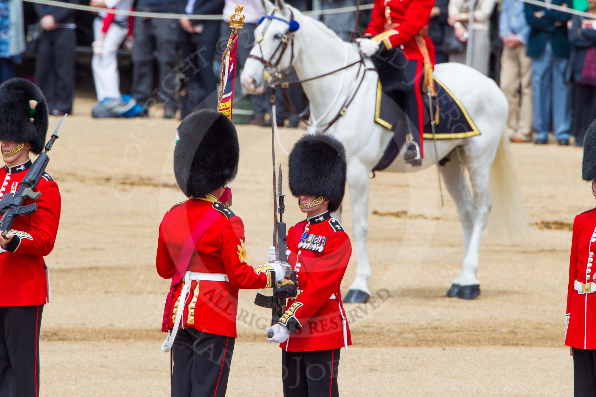 The Colonel's Review 2013: The Colour has been handed over from Colour Sergeant R J Heath, Welsh Guard to the Regimental Sergeant Major, WO1 Martin Topps, Welsh Guards. He now presents the Colour to the Ensign, Ensign, Second Lieutenant Joel Dinwiddle..
Horse Guards Parade, Westminster,
London SW1,

United Kingdom,
on 08 June 2013 at 11:19, image #507