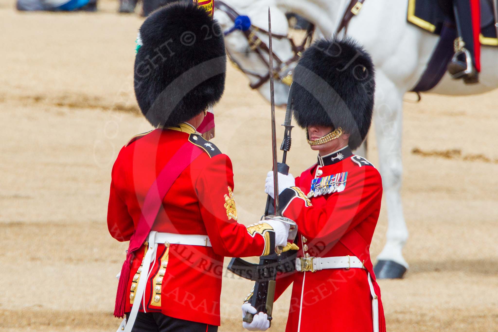 The Colonel's Review 2013: The Colour has been handed over from Colour Sergeant R J Heath, Welsh Guard to the Regimental Sergeant Major, WO1 Martin Topps, Welsh Guards. He now presents the Colour to the Ensign, Ensign, Second Lieutenant Joel Dinwiddle..
Horse Guards Parade, Westminster,
London SW1,

United Kingdom,
on 08 June 2013 at 11:19, image #508