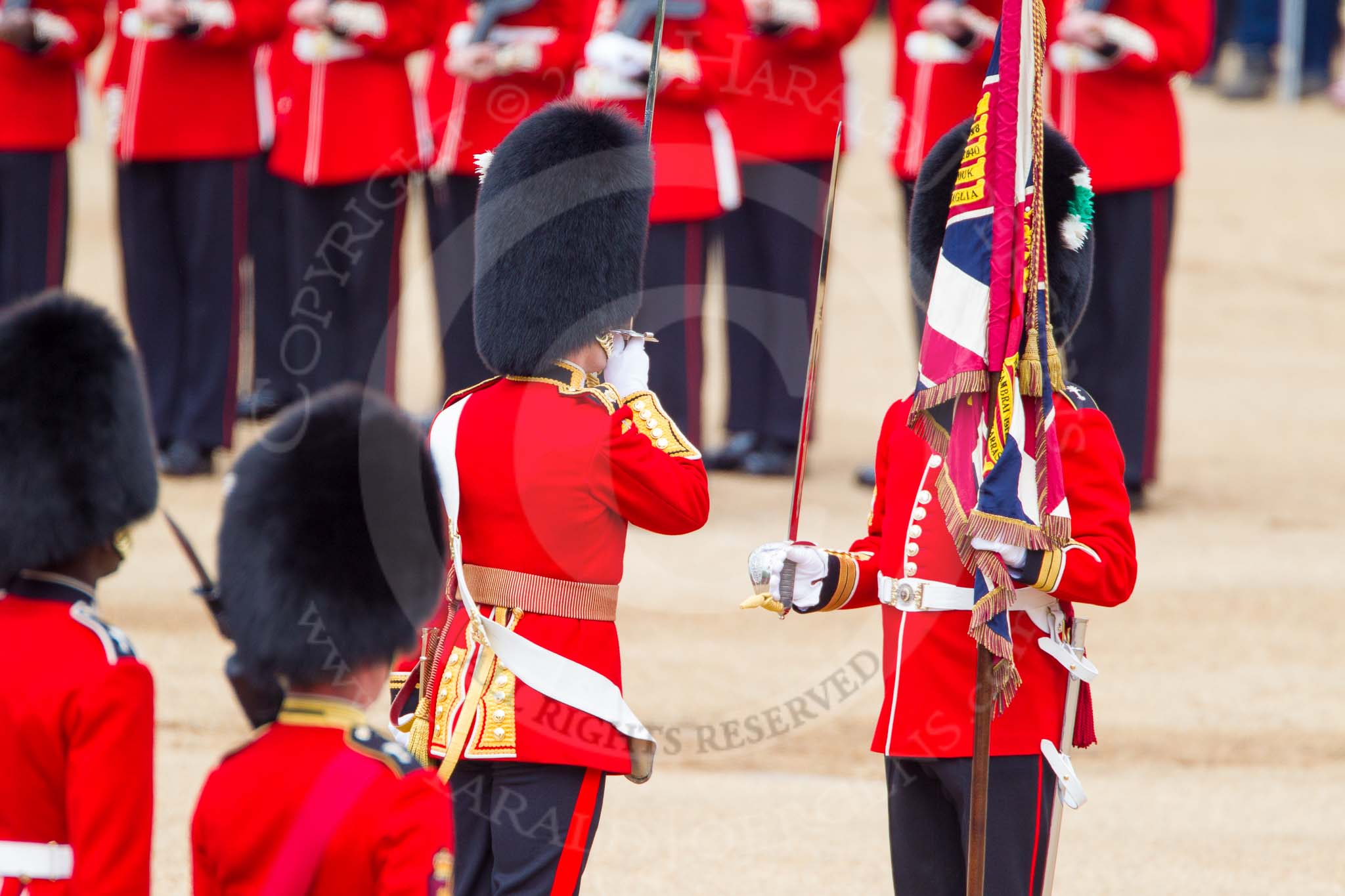 The Colonel's Review 2013: The Regimental Sergeant Major, WO1 Martin Topps, Welsh Guards presents the Colour to the Ensign, Second Lieutenant Joel Dinwiddle, who salutes the Colour with his sword..
Horse Guards Parade, Westminster,
London SW1,

United Kingdom,
on 08 June 2013 at 11:19, image #513