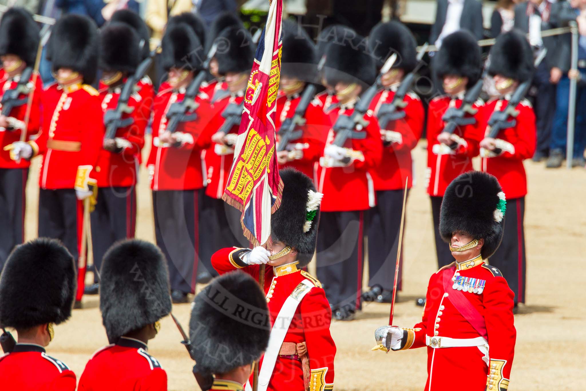 The Colonel's Review 2013: No. 1 Guard, the Escort to the Colour, presents arms as the Ensign turns toward them with the Colour..
Horse Guards Parade, Westminster,
London SW1,

United Kingdom,
on 08 June 2013 at 11:20, image #528