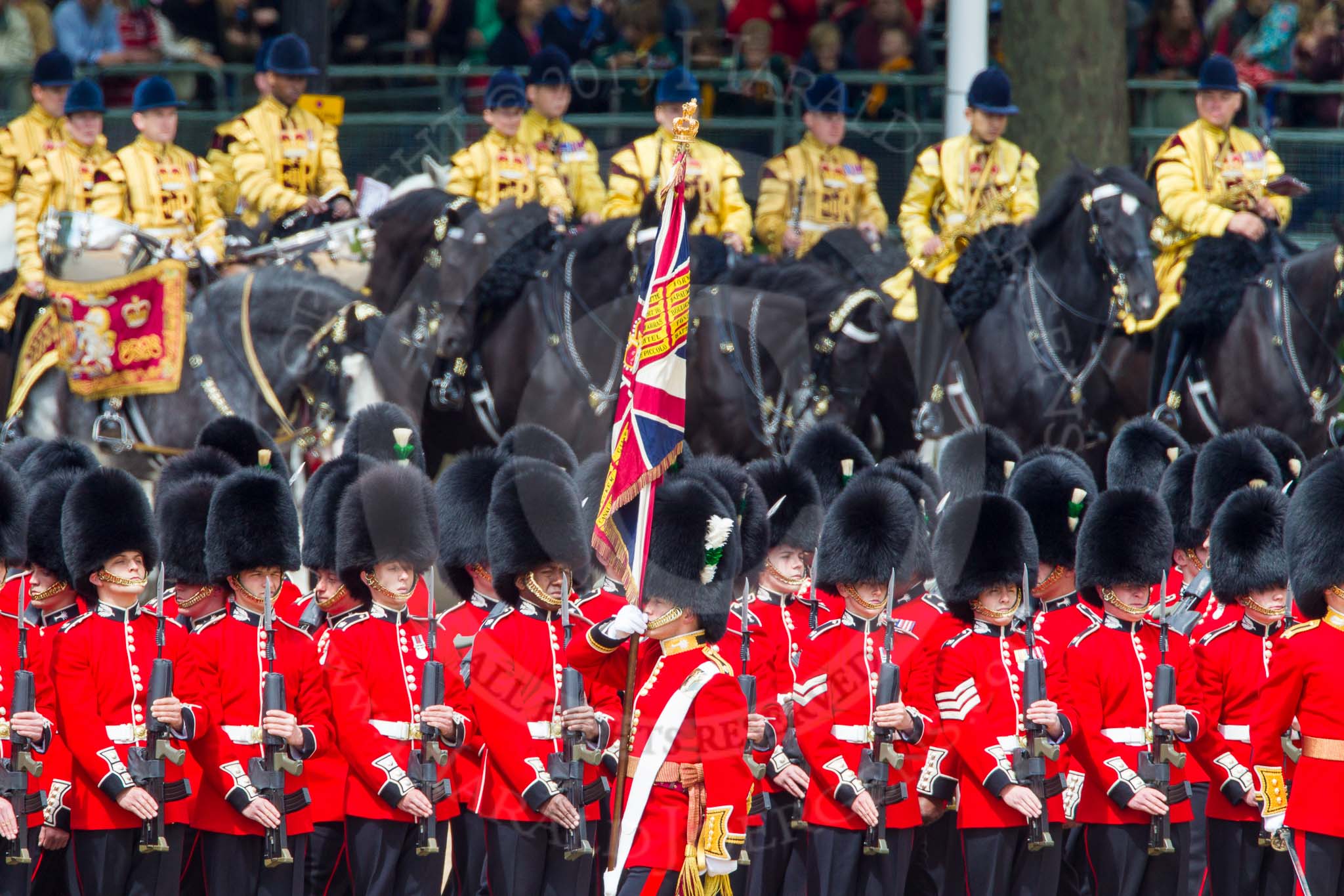 The Colonel's Review 2013: The Escort to the Colour troops the Colour past No. 5 Guard, F Company Scots Guards..
Horse Guards Parade, Westminster,
London SW1,

United Kingdom,
on 08 June 2013 at 11:24, image #570