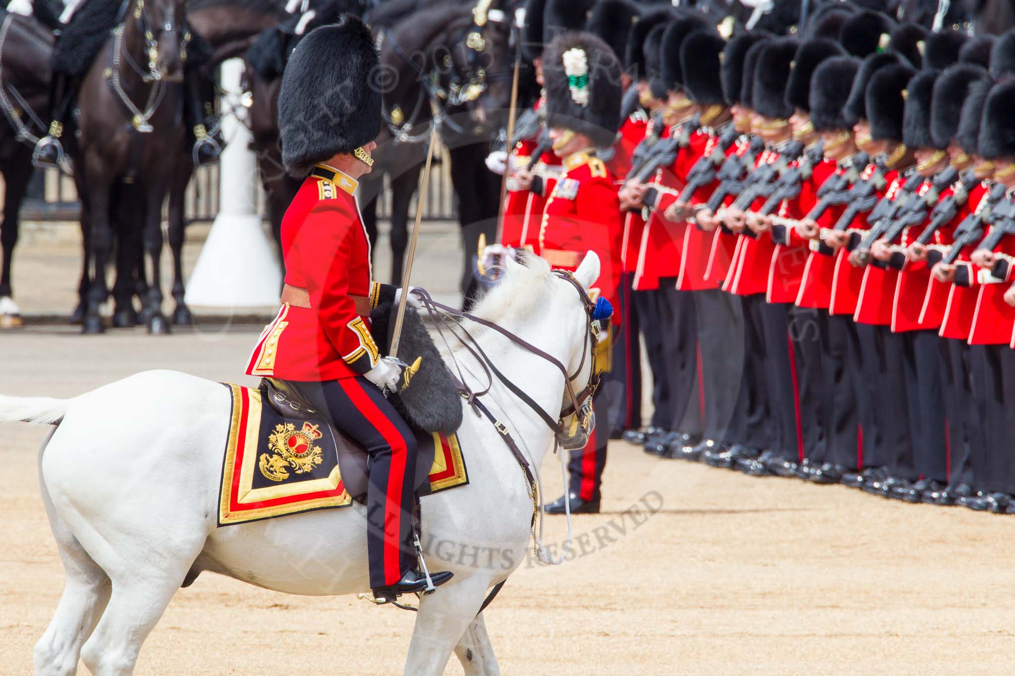 The Colonel's Review 2013: The Field Officer, in front of No. 2 Guard, 1st Battalion Welsh Guards, is about to inform HM The Queen that the troops are ready for the March Past..
Horse Guards Parade, Westminster,
London SW1,

United Kingdom,
on 08 June 2013 at 11:29, image #604