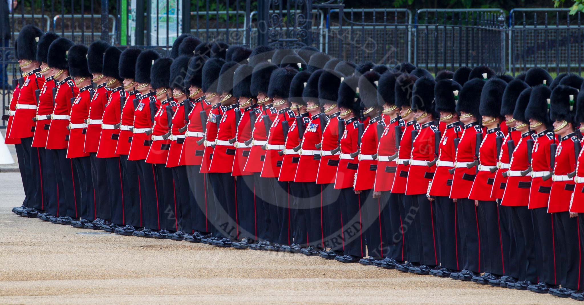 Major General's Review 2013: No. 4 Guard,Nijmegen Company Grenadier Guards..
Horse Guards Parade, Westminster,
London SW1,

United Kingdom,
on 01 June 2013 at 10:29, image #110