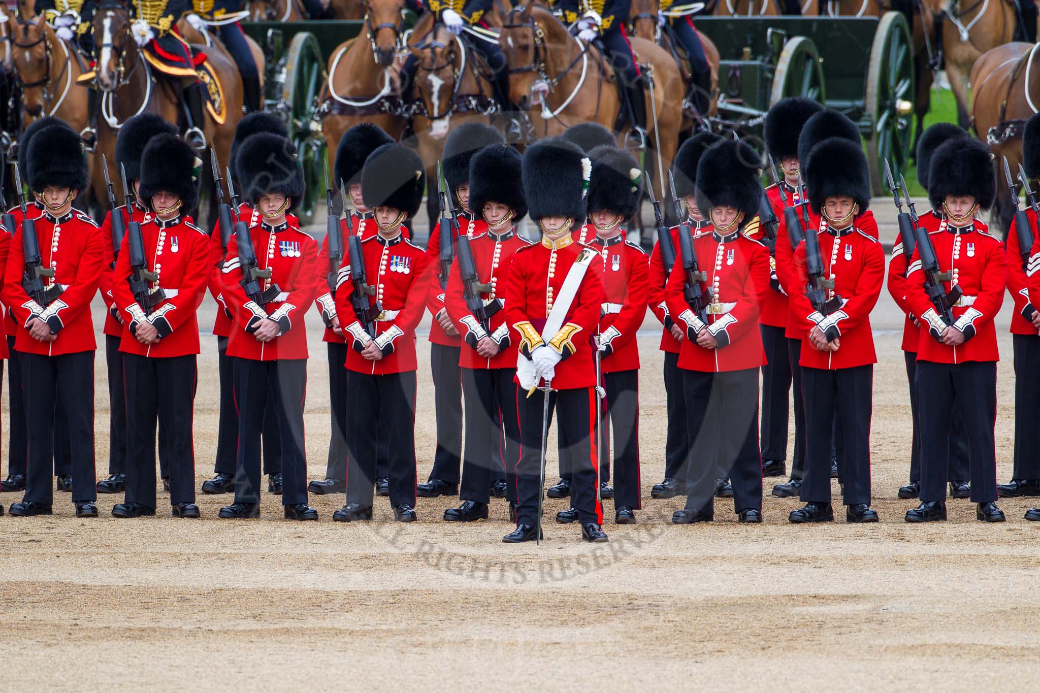 Major General's Review 2013: No. 1 Guard (Escort for the Colour),1st Battalion Welsh Guards, with the Ensign,Second Lieutenant Joel Dinwiddle in the centre, the King's Troop Royal Horse Artillery behind..
Horse Guards Parade, Westminster,
London SW1,

United Kingdom,
on 01 June 2013 at 10:46, image #192
