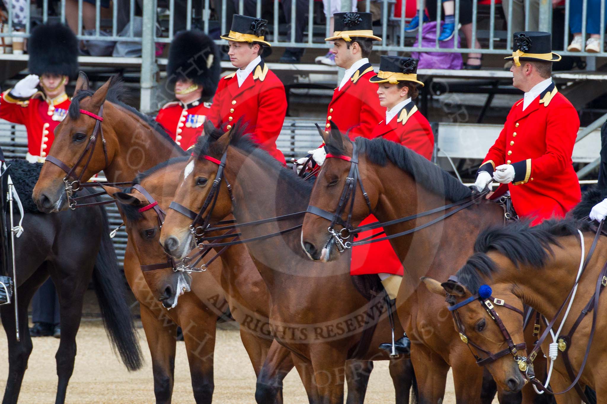 Major General's Review 2013: Four Grooms, The Royal Household..
Horse Guards Parade, Westminster,
London SW1,

United Kingdom,
on 01 June 2013 at 11:00, image #261