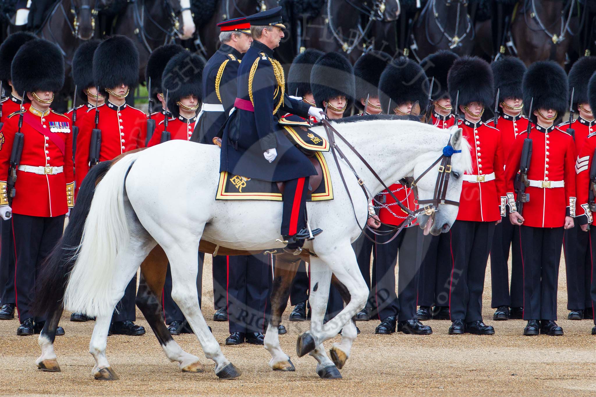 Major General's Review 2013: The Crown Equerry Colonel Toby Browne
Equerry in Waiting to Her Majesty, Lieutenant Colonel Alexander Matheson of Matheson, younger, during the Inspection of the Line..
Horse Guards Parade, Westminster,
London SW1,

United Kingdom,
on 01 June 2013 at 11:03, image #294