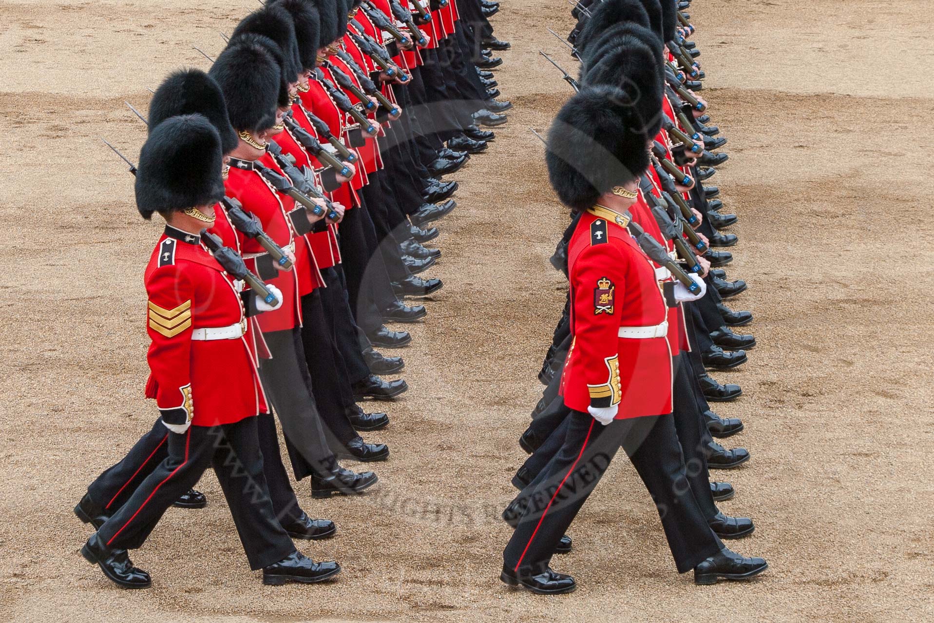 Major General's Review 2013: The March Past in Slow Time-Welsh Guards..
Horse Guards Parade, Westminster,
London SW1,

United Kingdom,
on 01 June 2013 at 11:35, image #500