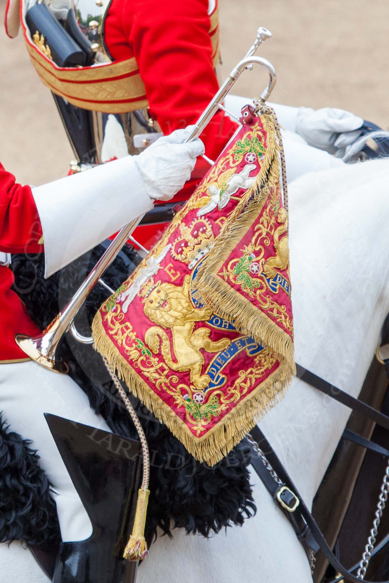 Major General's Review 2013: The Trumpeter (Lance Corporal Ben Ruffer, The Life Guards), the Standard Bearer (Squadron Corporal Major Kris Newell, The Life Guards) and the Standard Coverer (Staff Corporal Steve Chinn, The Life Guards) leading the Ride Past for the Household Cavalry..
Horse Guards Parade, Westminster,
London SW1,

United Kingdom,
on 01 June 2013 at 11:53, image #623