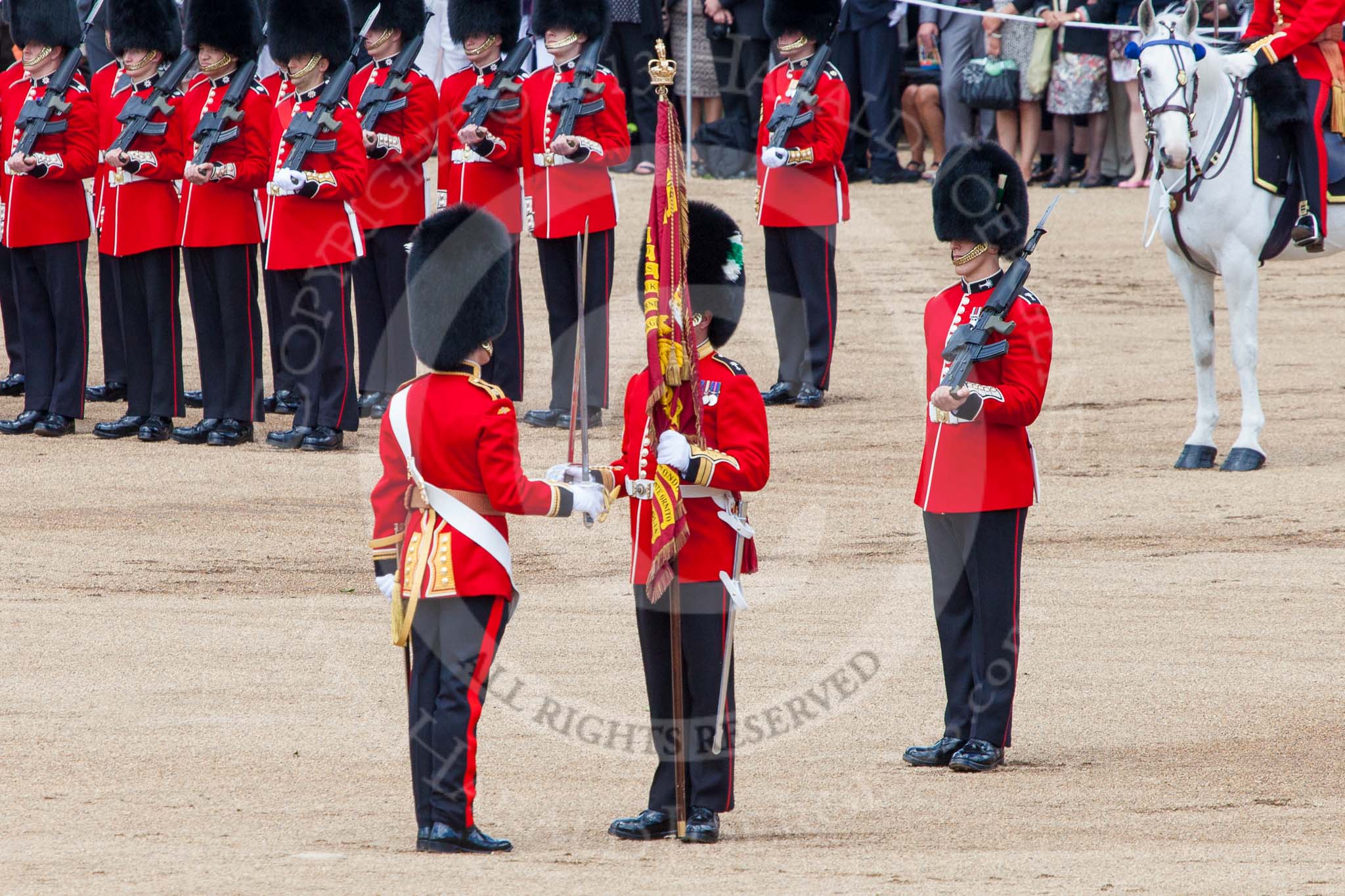 Trooping the Colour 2013: The Colour has been handed over from Colour Sergeant R J Heath, Welsh Guard to the Regimental Sergeant Major, WO1 Martin Topps, Welsh Guards. He now presents the Colour to the Ensign, Ensign, Second Lieutenant Joel Dinwiddle. Image #451, 15 June 2013 11:20 Horse Guards Parade, London, UK