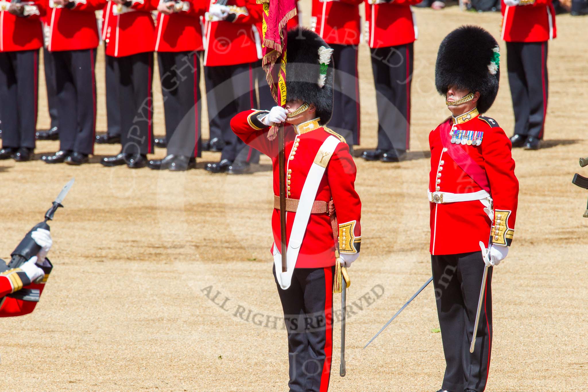 Trooping the Colour 2013: No. 1 Guard, the Escort to the Colour, presents arms as the Ensign turns toward them with the Colour. Image #460, 15 June 2013 11:21 Horse Guards Parade, London, UK