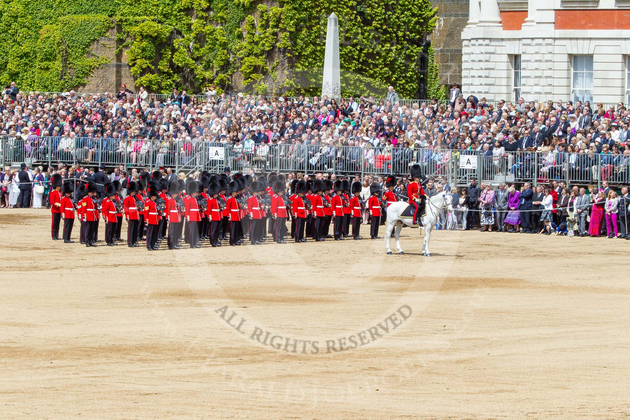 Trooping the Colour 2013: The Adjutant of the Parade in front of No. 6 Guard, No. 7 Company Coldstream Guards, before the March Off. Image #771, 15 June 2013 12:04 Horse Guards Parade, London, UK